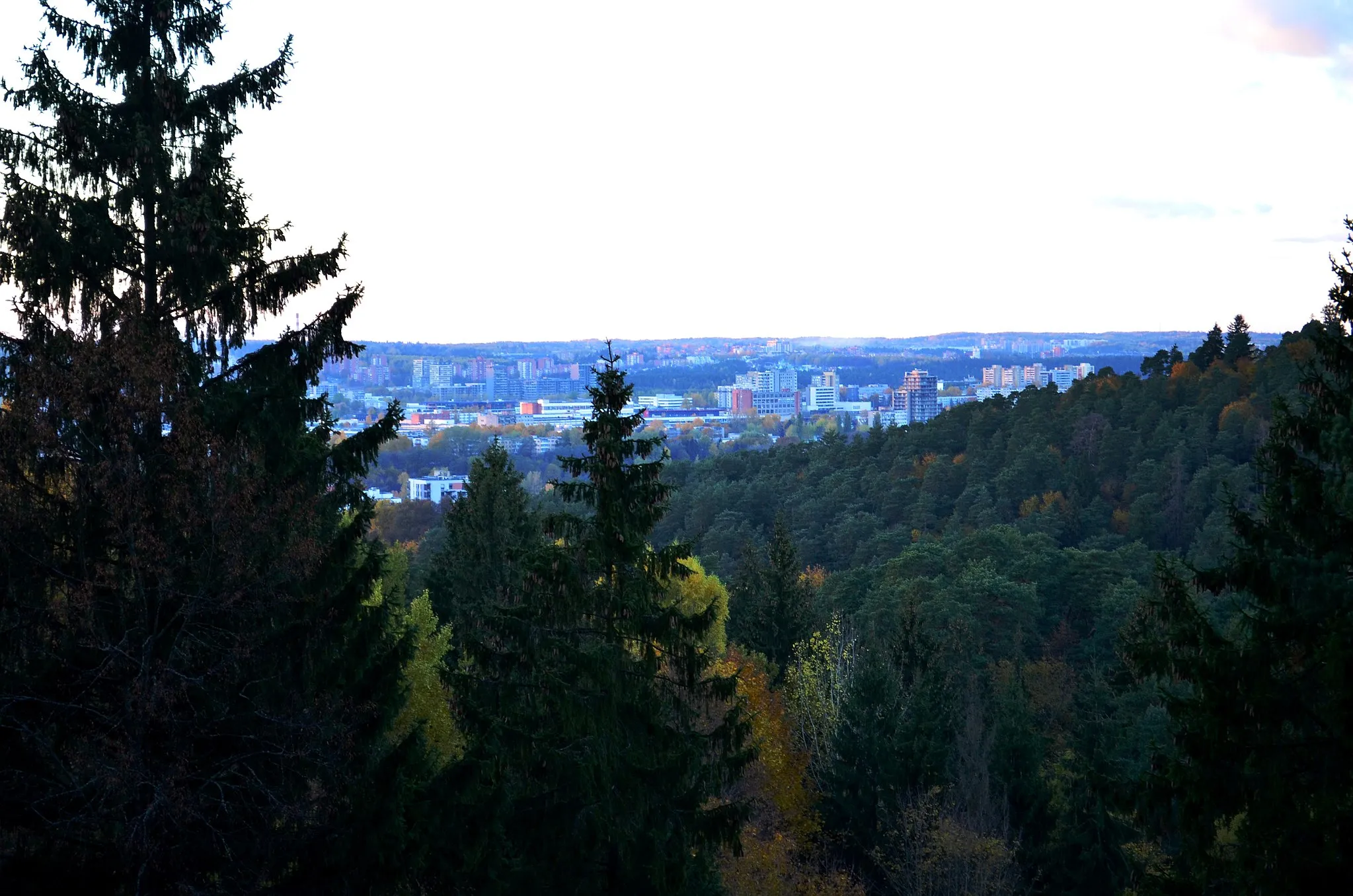 Photo showing: Reginys į Antakalnį ir Žirmūnus nuo Pavilnių RP miškų; Vilnius