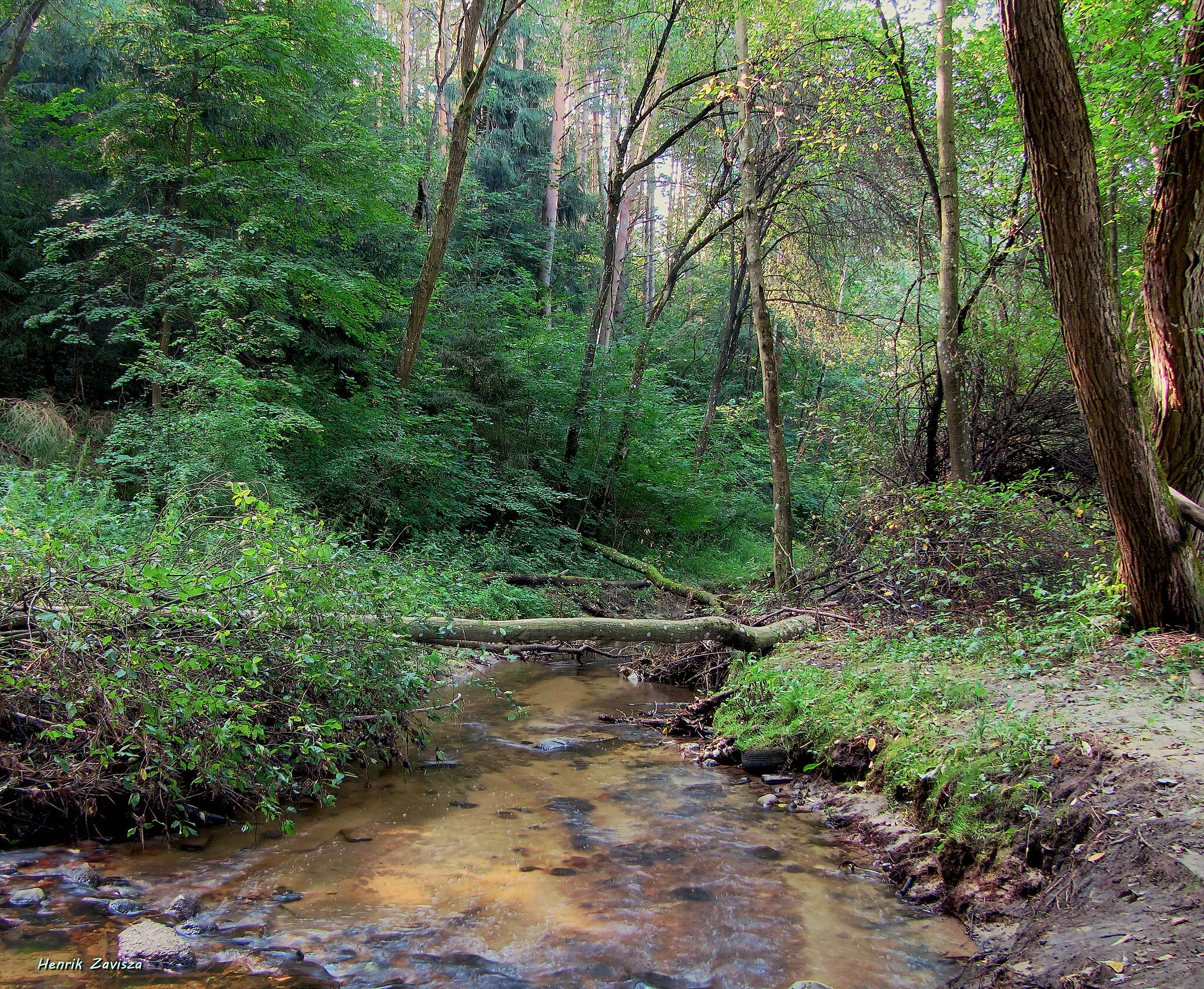 Photo showing: The Brook