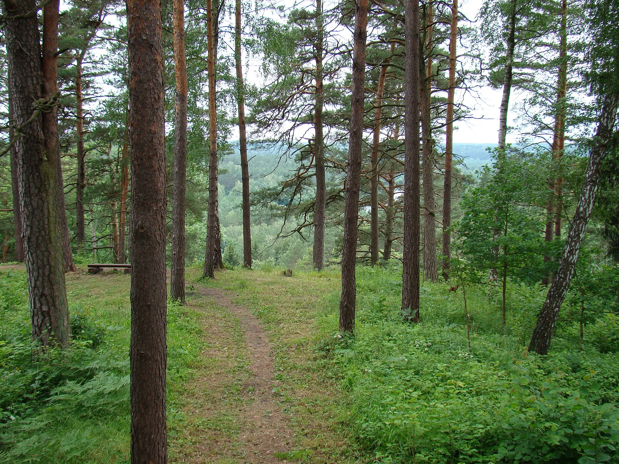 Photo showing: Naujosios Rėvos piliakalnis, Vilniaus rajone, Neries regioniniame parke