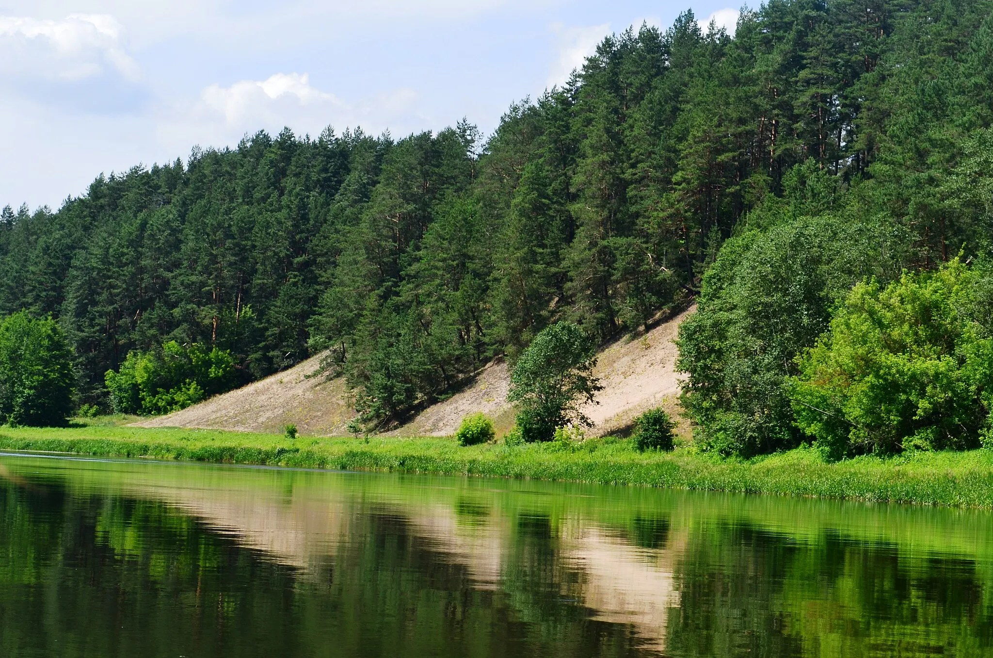 Photo showing: Skardis Neries pakrantėje netoli Airėnų, Vilniaus raj.