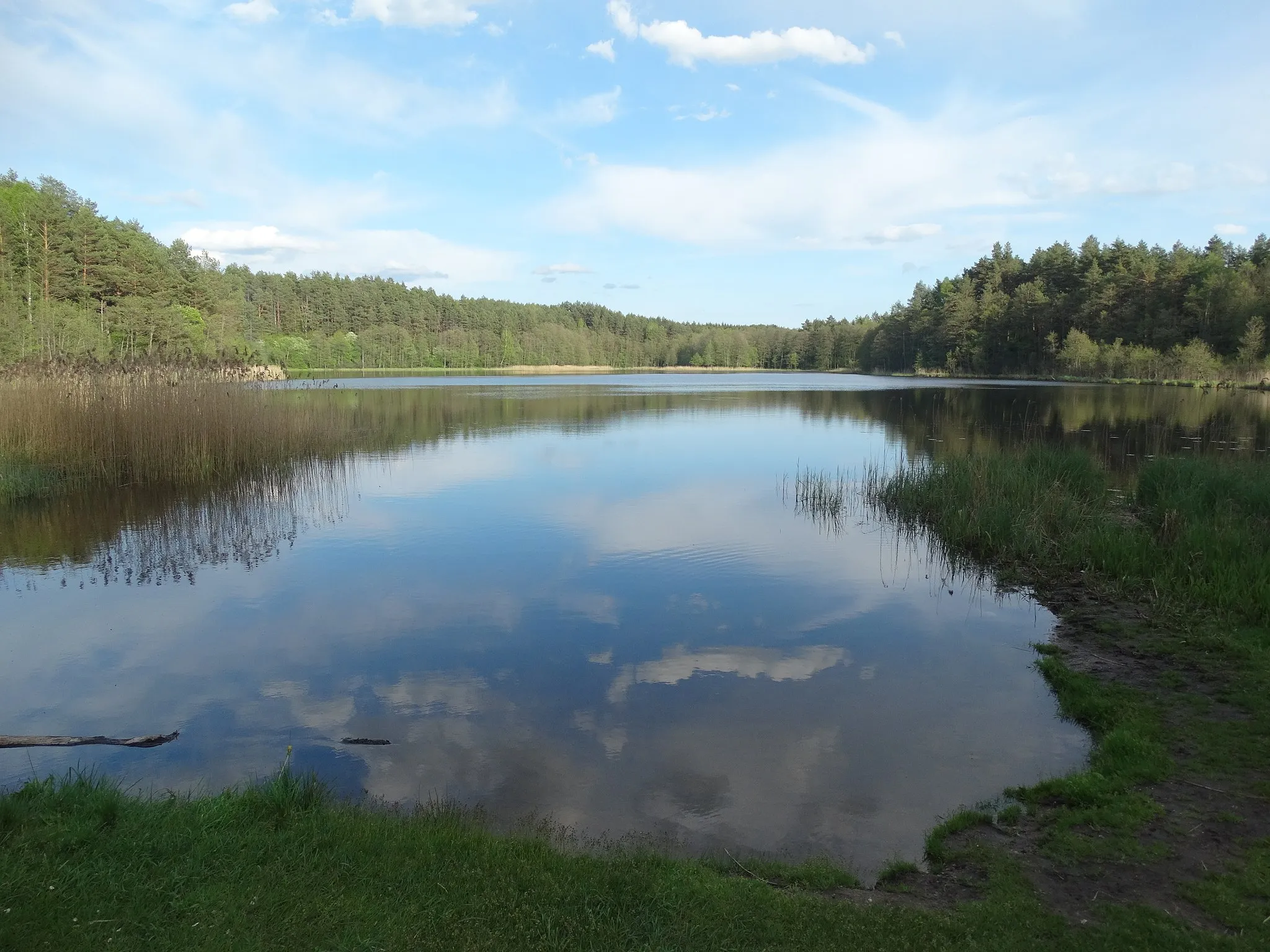 Photo showing: Elniakampis Lake, Vilnius District, Lithuania