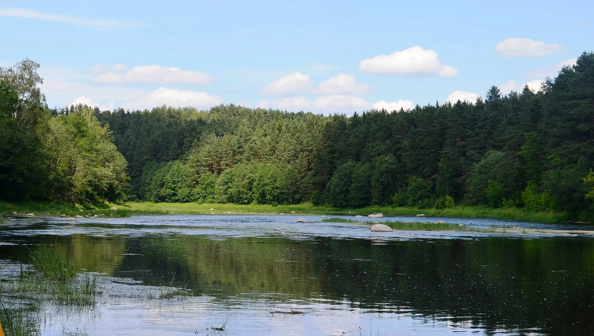 Photo showing: Grabijolų rėva Neryje, Vilniaus raj./Elektrėnų sav.