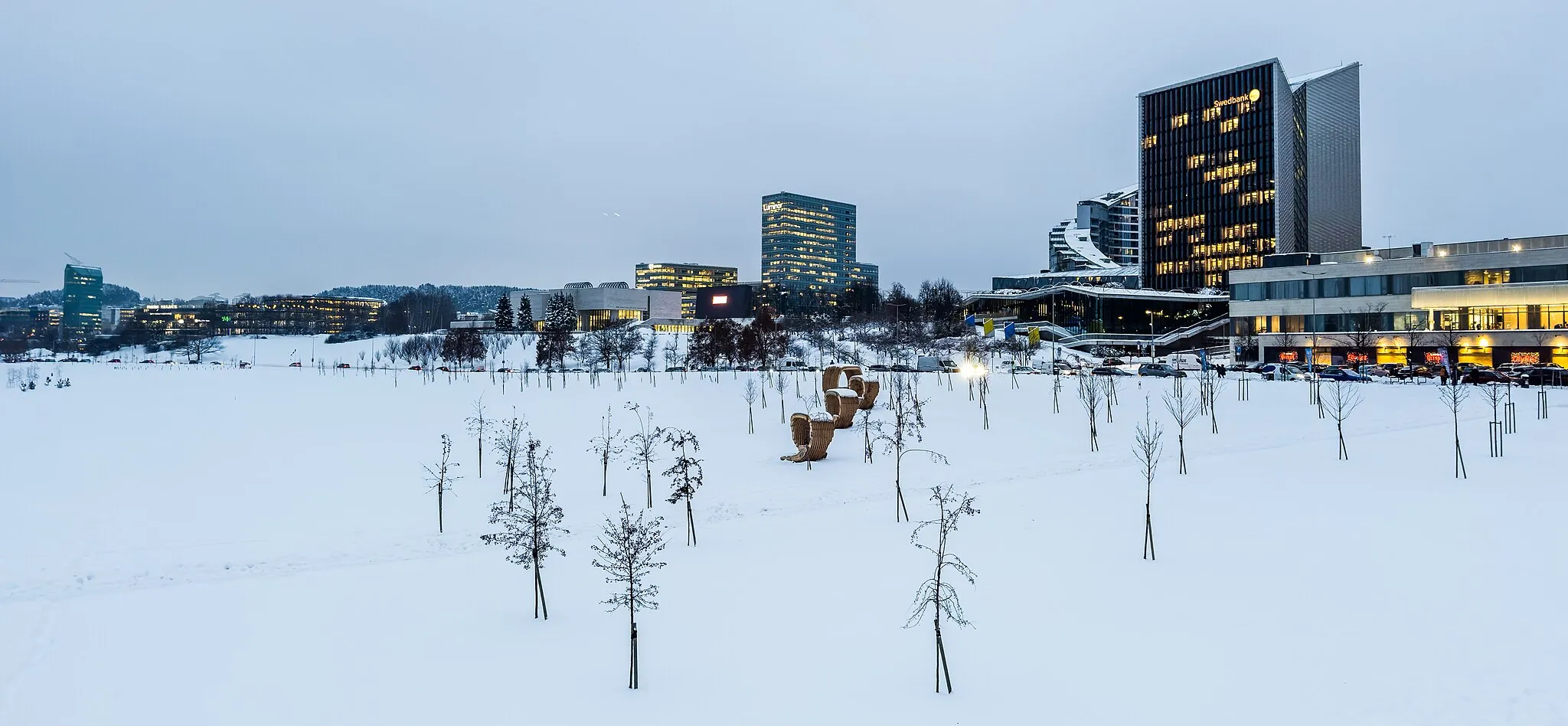 Photo showing: December in Vilnius