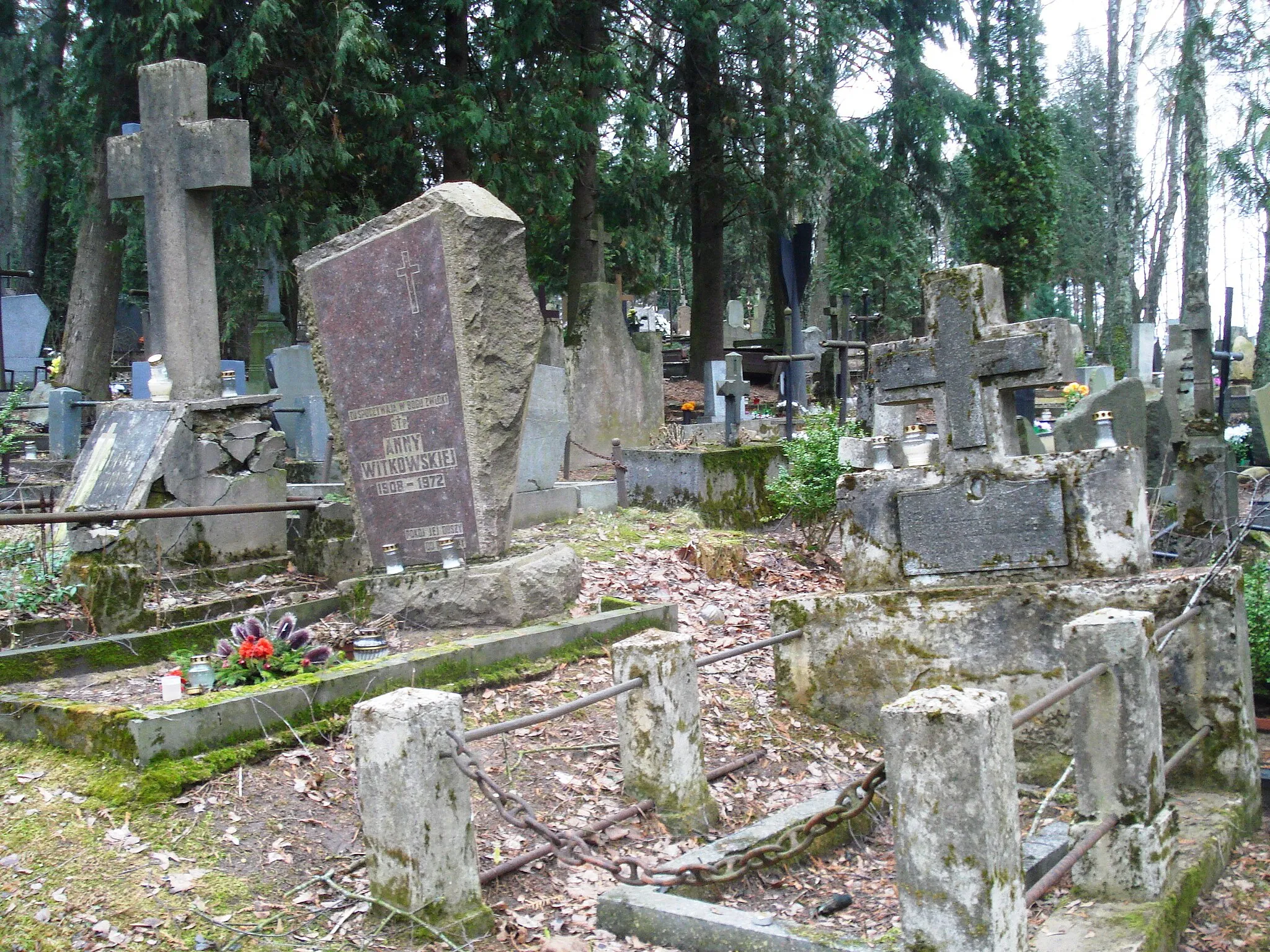 Photo showing: Saltoniškės Cemetery (Vilnius)