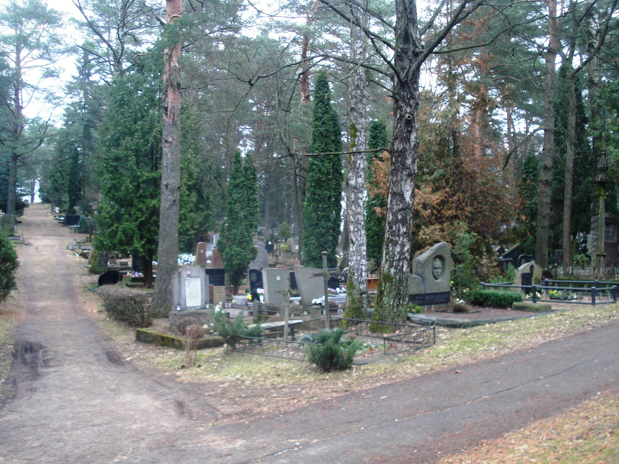 Photo showing: Saltoniškių kapinės (Vilnius). Šeškinėje, prie Ąžuolyno ir Ozo gatvių sankirtos