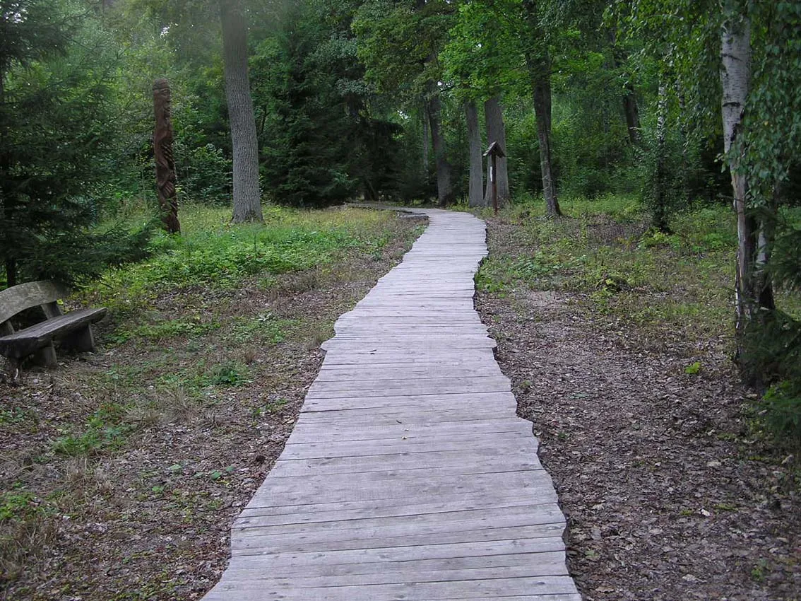 Photo showing: Dūkštų ąžuolyno pažintinis takas, 2006 m. G. Kulikausko fotografija.