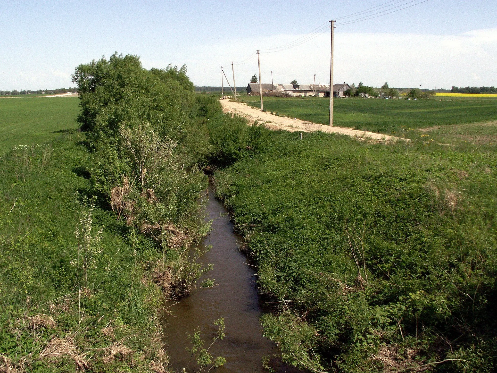 Photo showing: Juodupis near Naislaukis, Šiauliai district, Lithuania