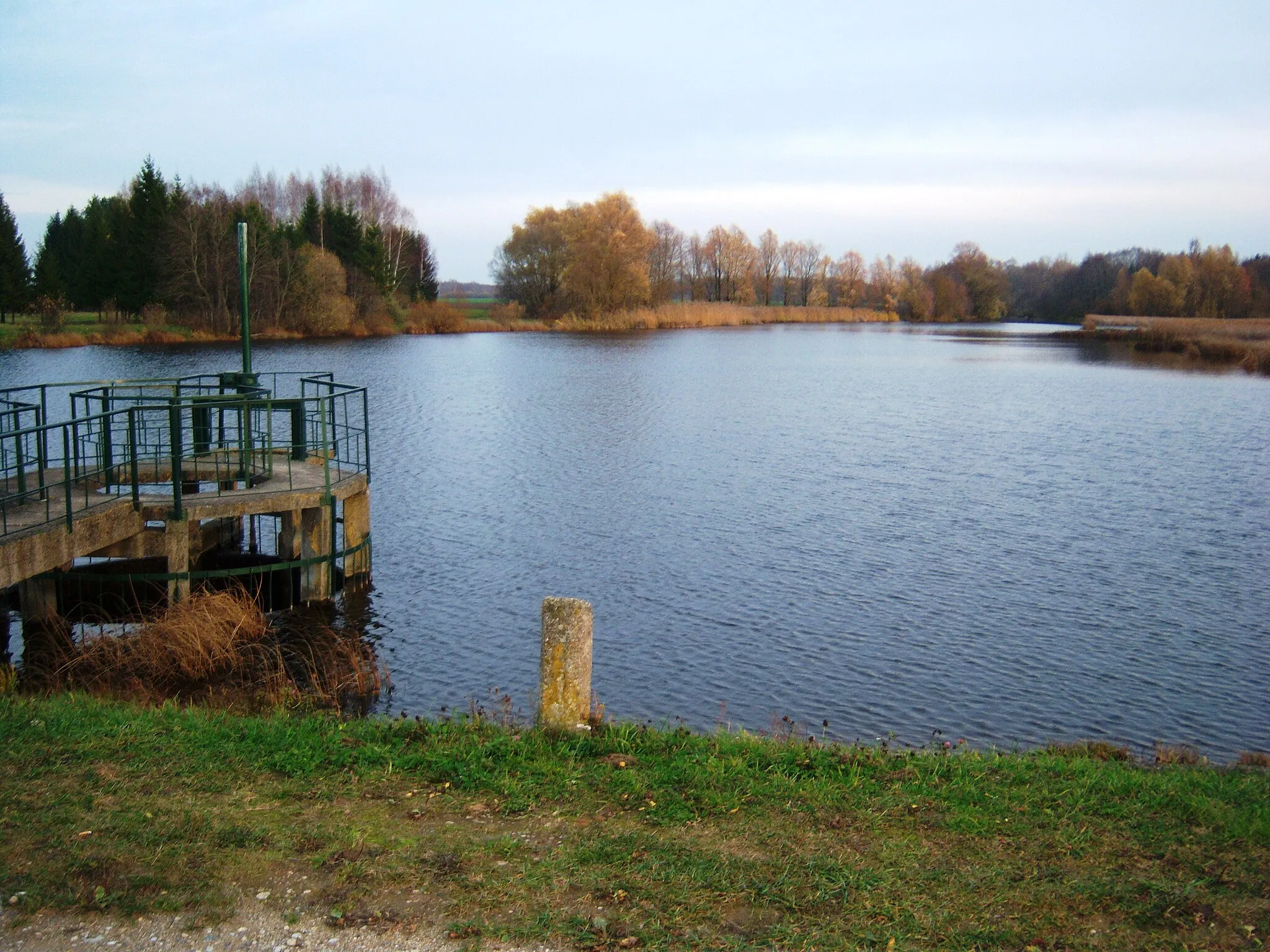 Photo showing: Pond on Orija river, Smilgiai, Pasvalys District, Lithuania