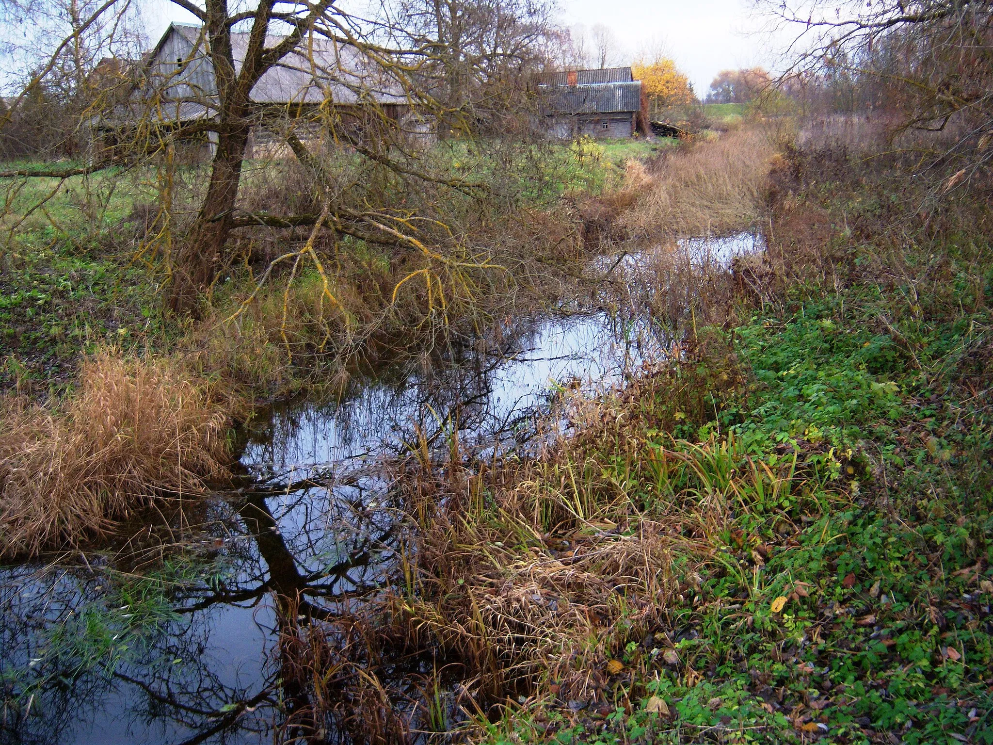 Photo showing: Orija river, Smilgiai, Pasvalys District, Lithuania