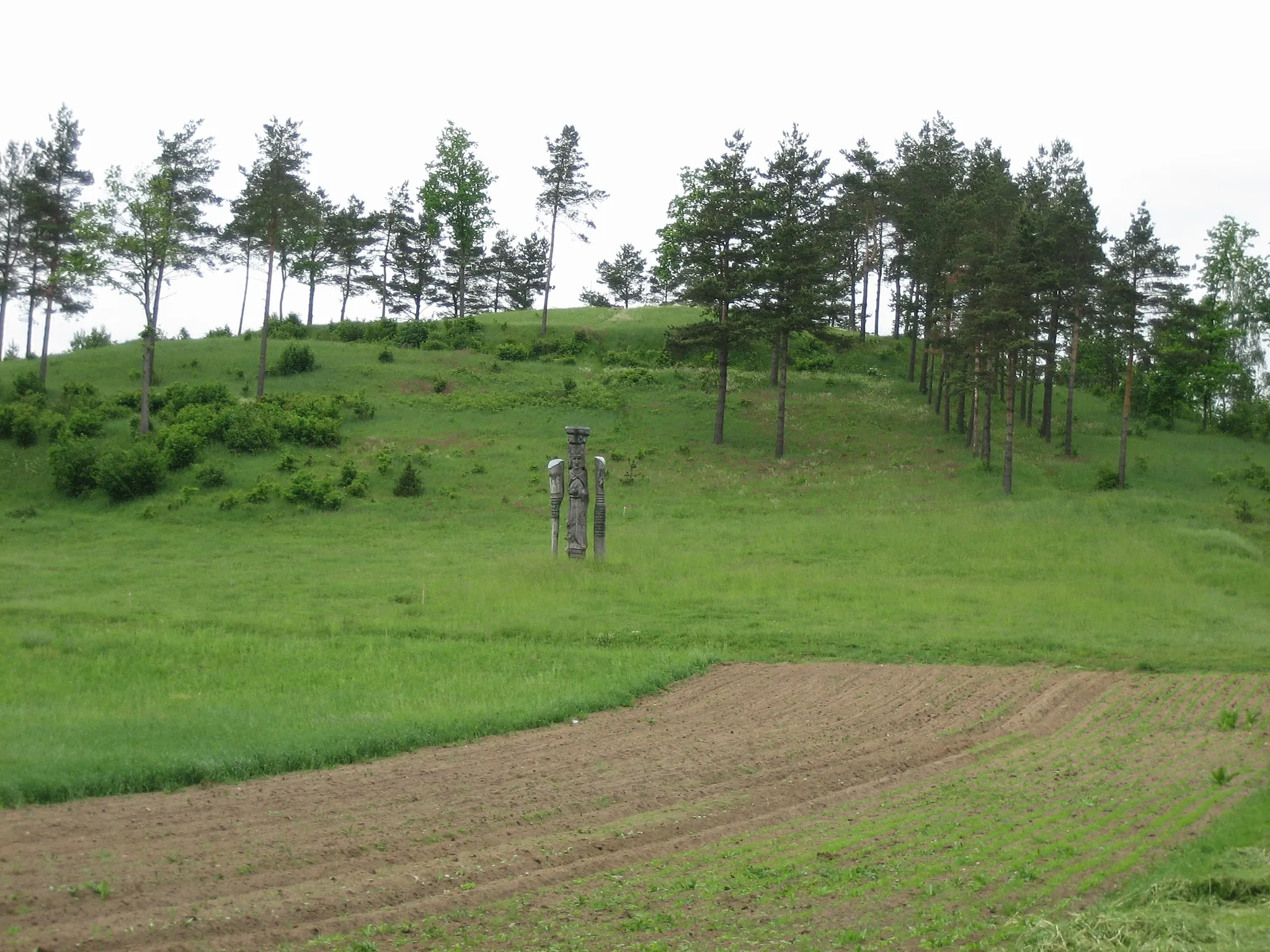 Photo showing: Kepeliuškalnis, Šilalės raj.