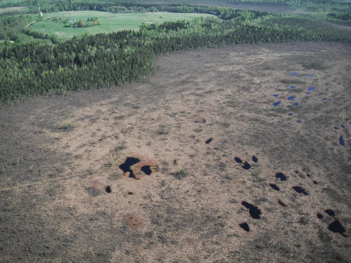 Photo showing: Reiskių tyro akivarai