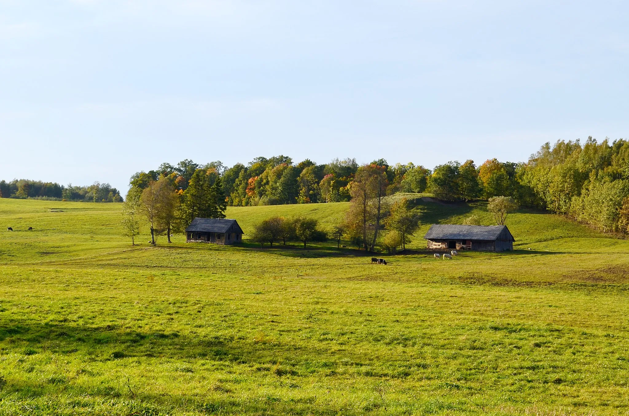 Photo showing: Gedminiškės kaimas ir piliakalnis, Šilalės raj.