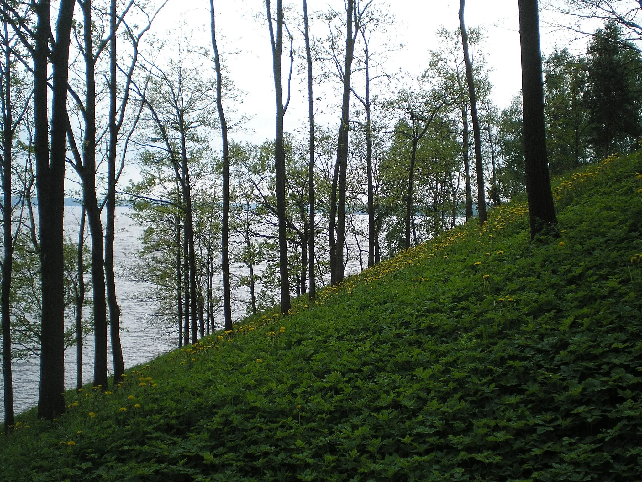Photo showing: From the mound Vieskunai