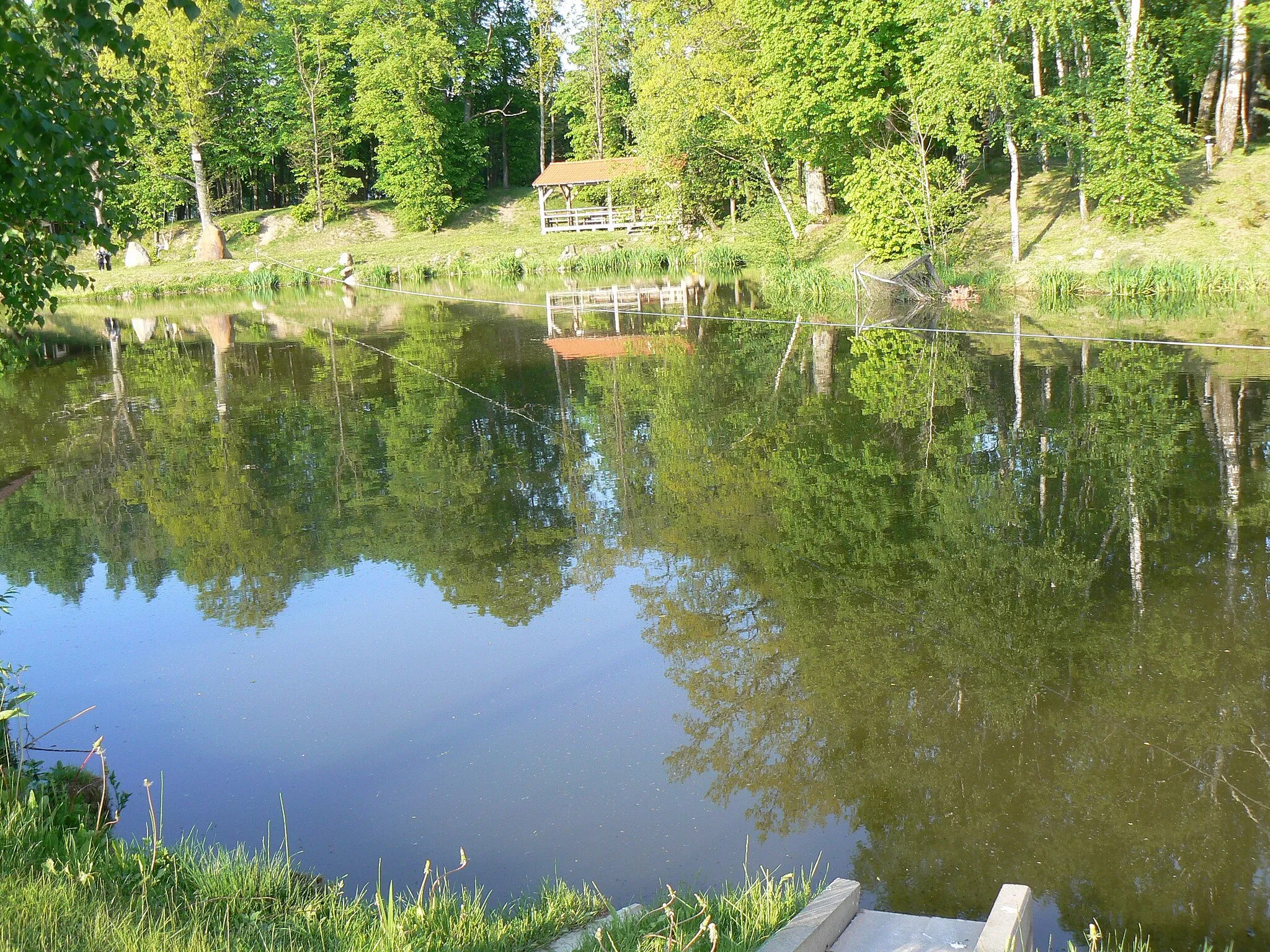 Photo showing: Pond on Župė near Radaliai manor