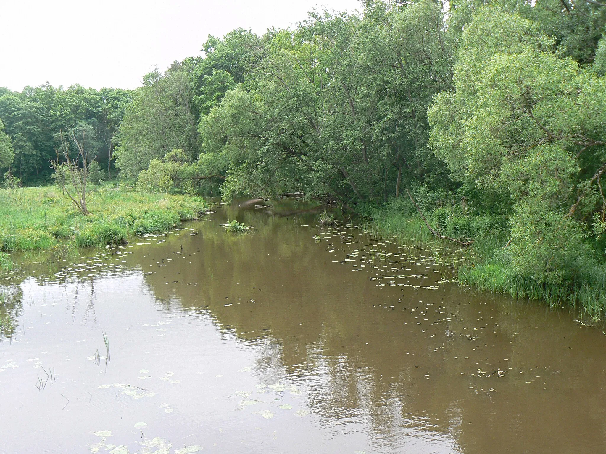 Photo showing: River Eketė (Lithuania)