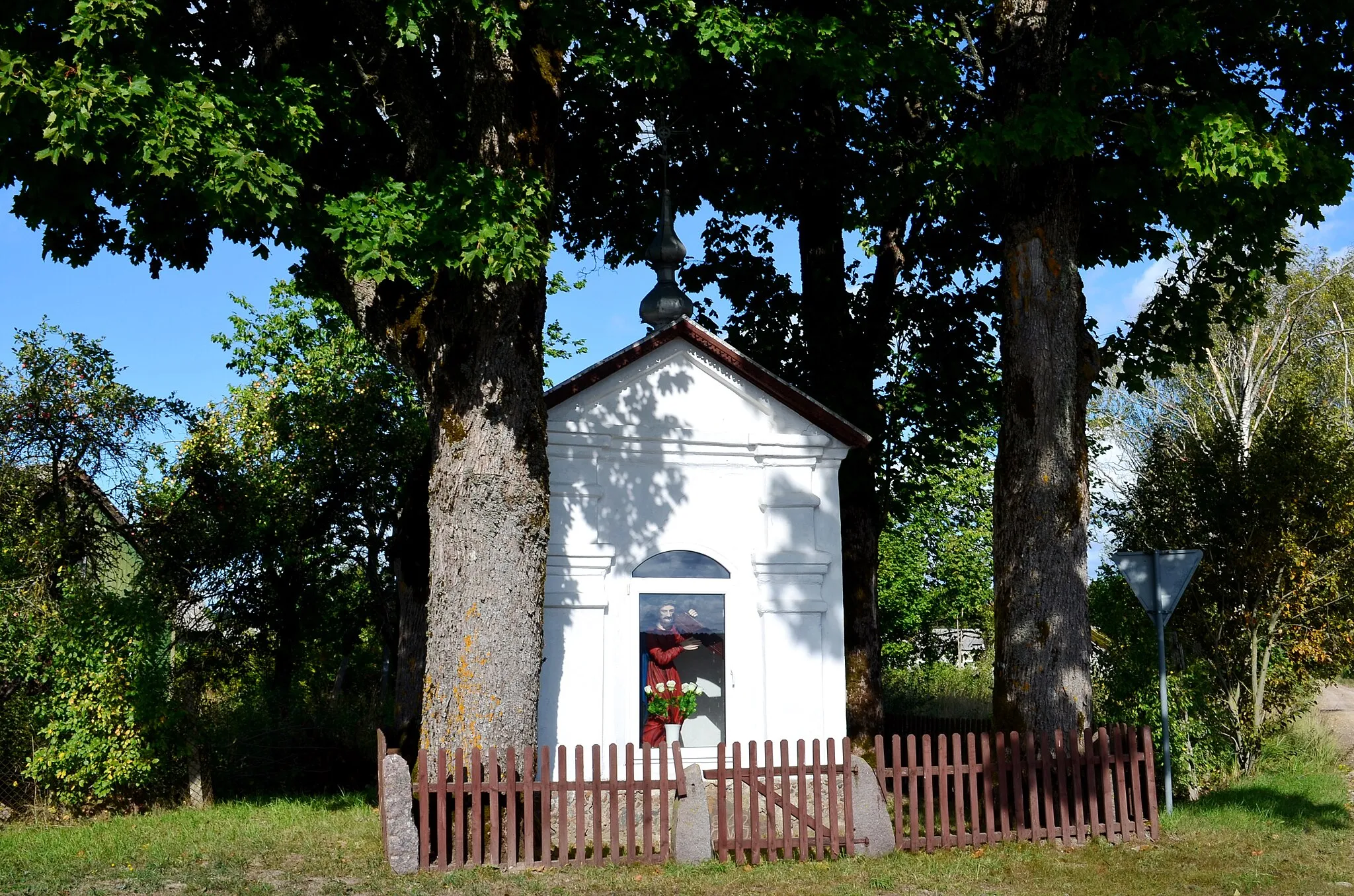 Photo showing: Bėkavienu kuoplīčielė, Šėlotės rajuons