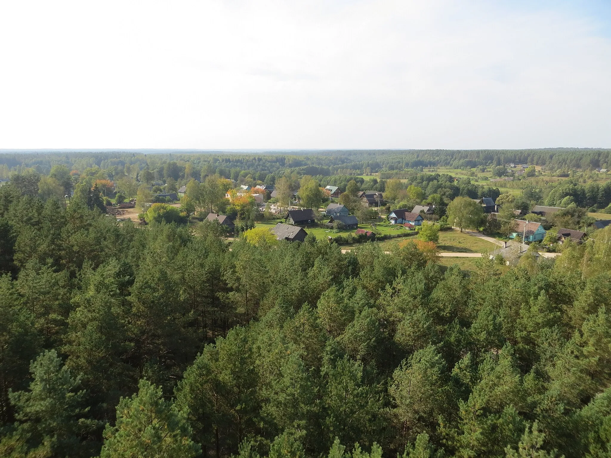 Photo showing: Puvočiai 65344, Lithuania