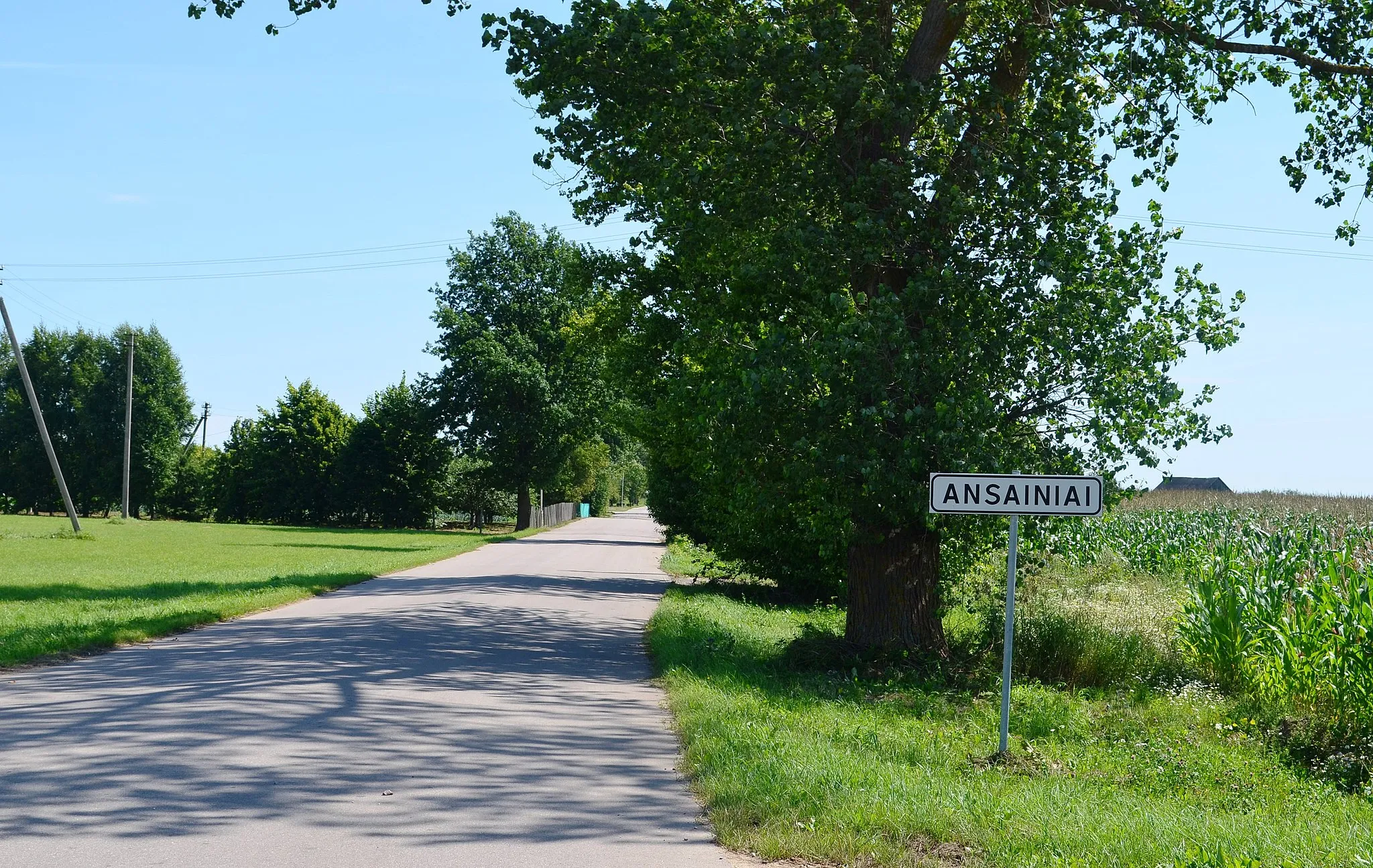 Photo showing: Ansainiai (iš Labūnavos pusės). Kėdainių raj.