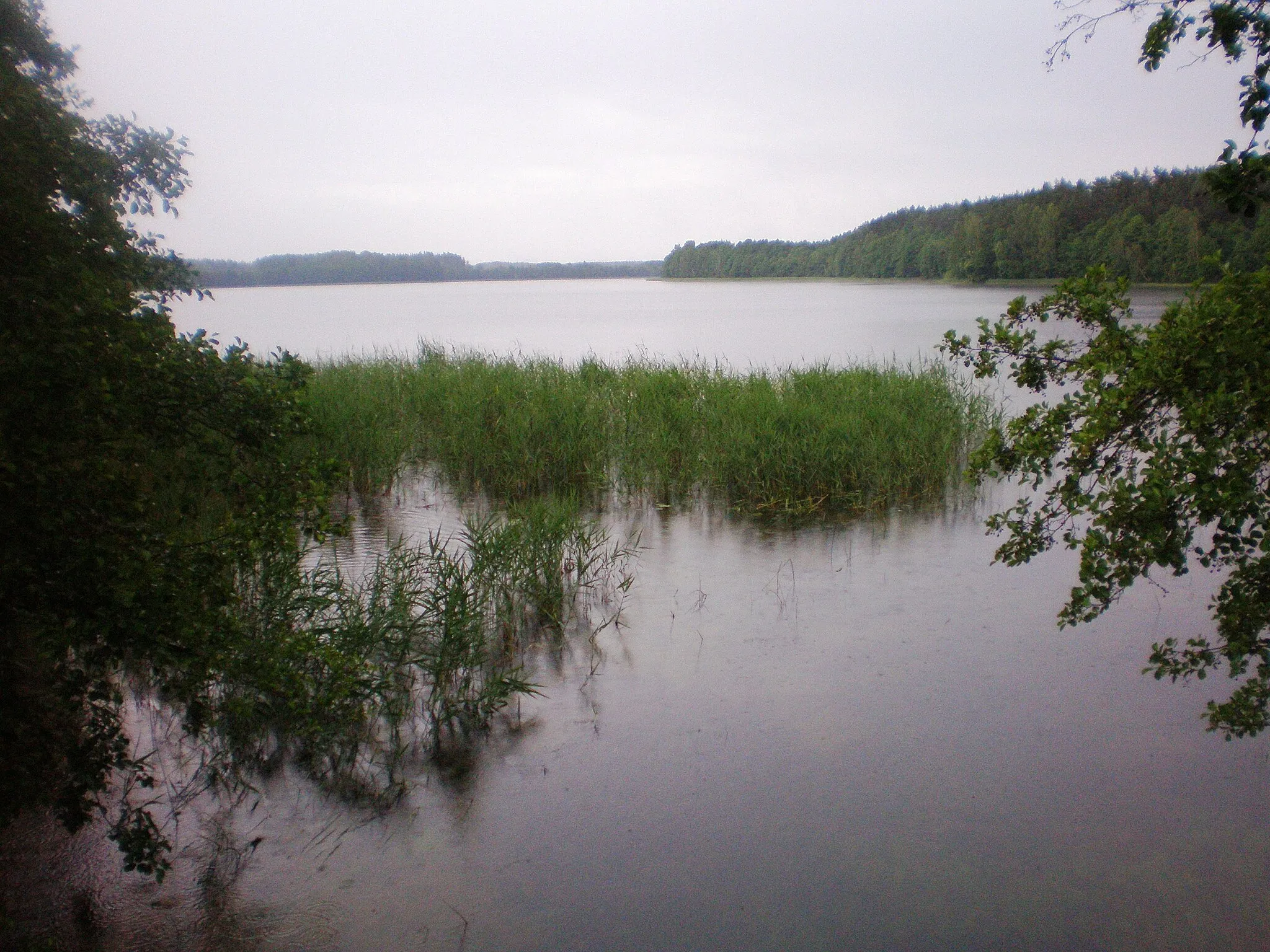 Photo showing: Šakarvai lake near Šakarva village in Lithuania
