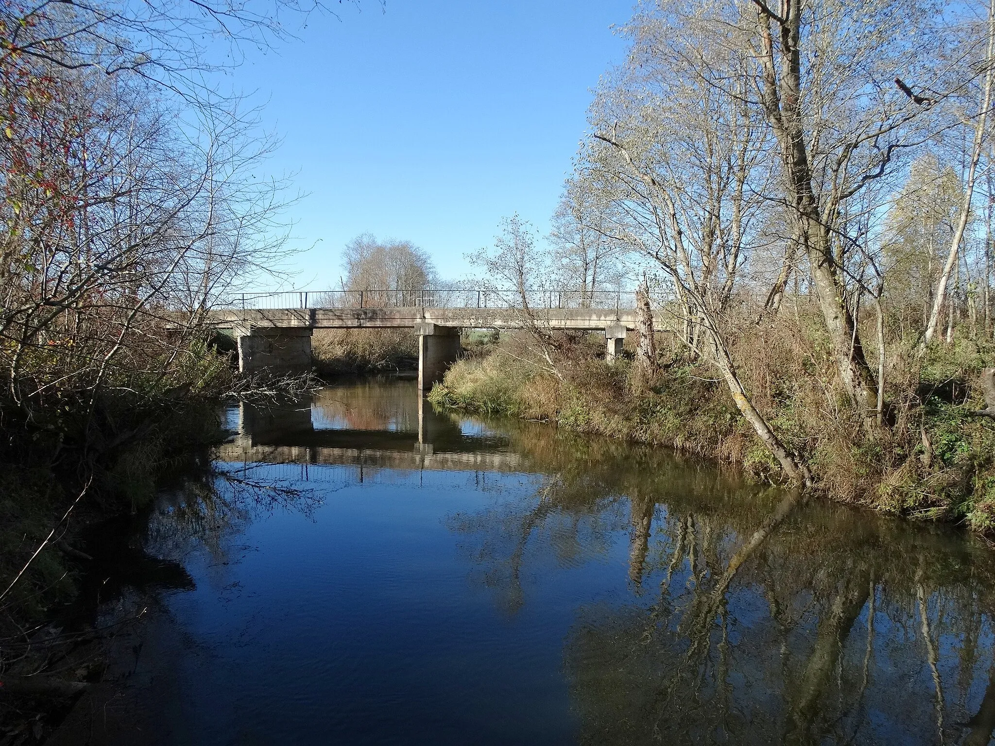 Photo showing: Verknė River, Prienai District, Lithuania