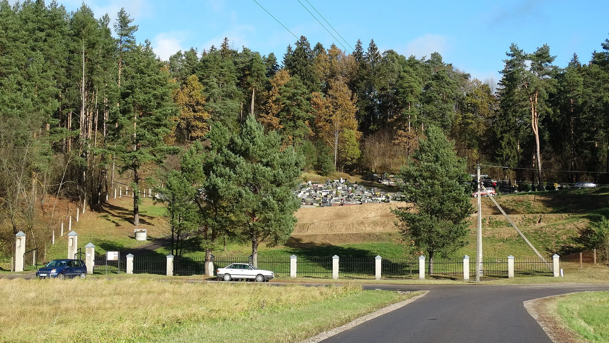 Photo showing: Cemetery by Šilelis, Kaunas district, Lithuania