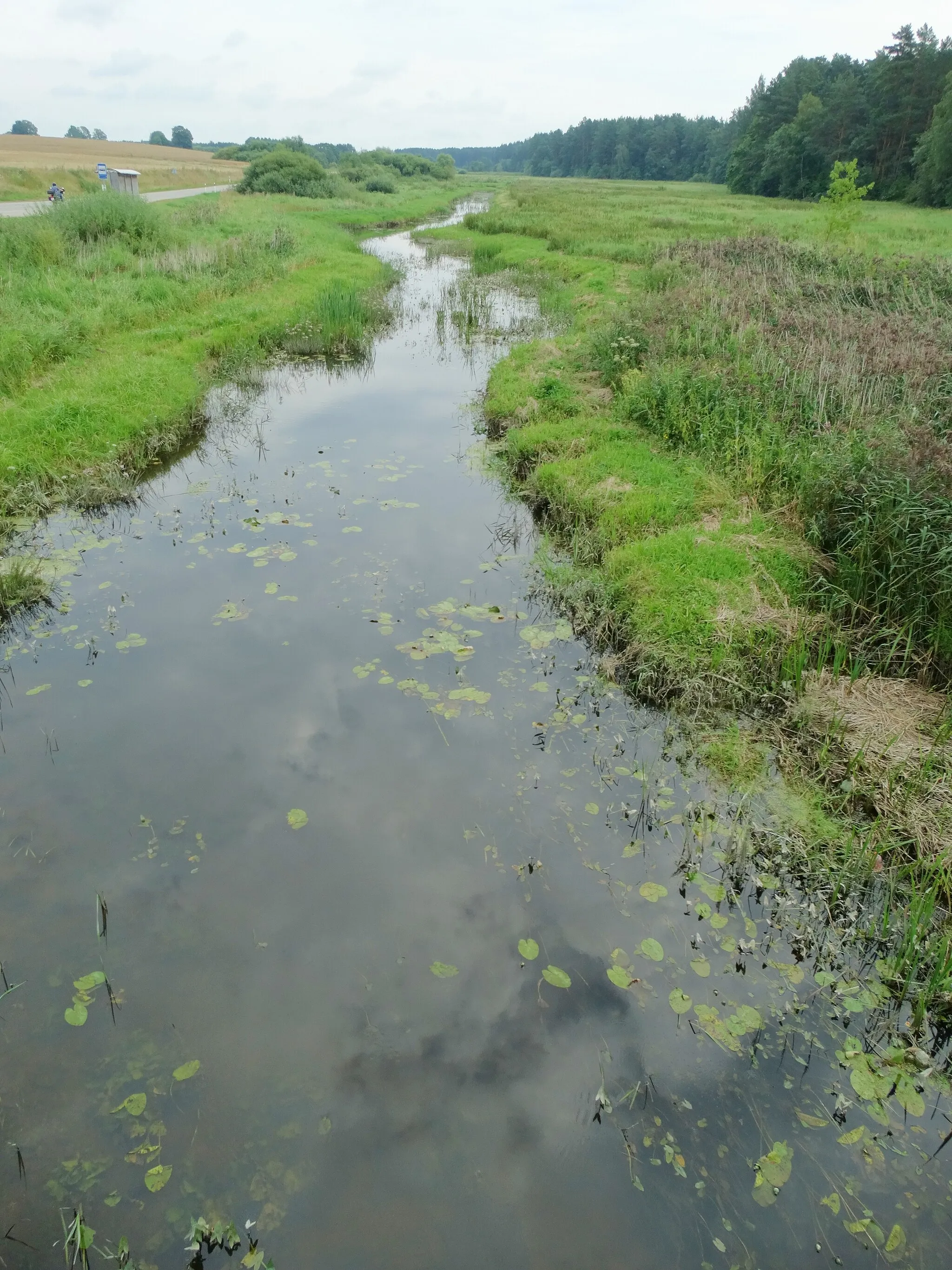 Photo showing: Dabikinė river, Akmenė district, Lithuania