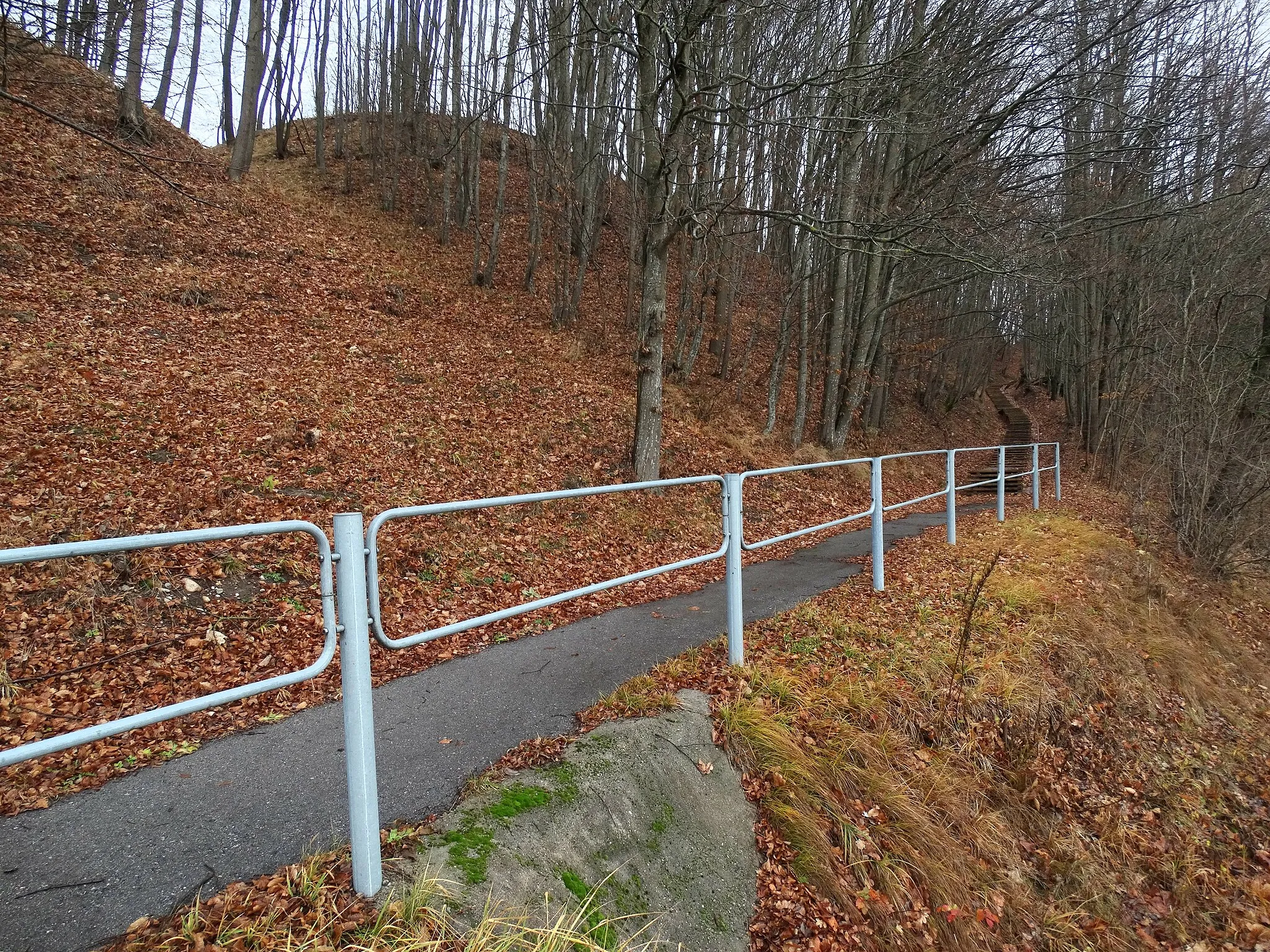 Photo showing: Kartupėnai hillfort by Pilis I, Jurbarkas district, Lithuania