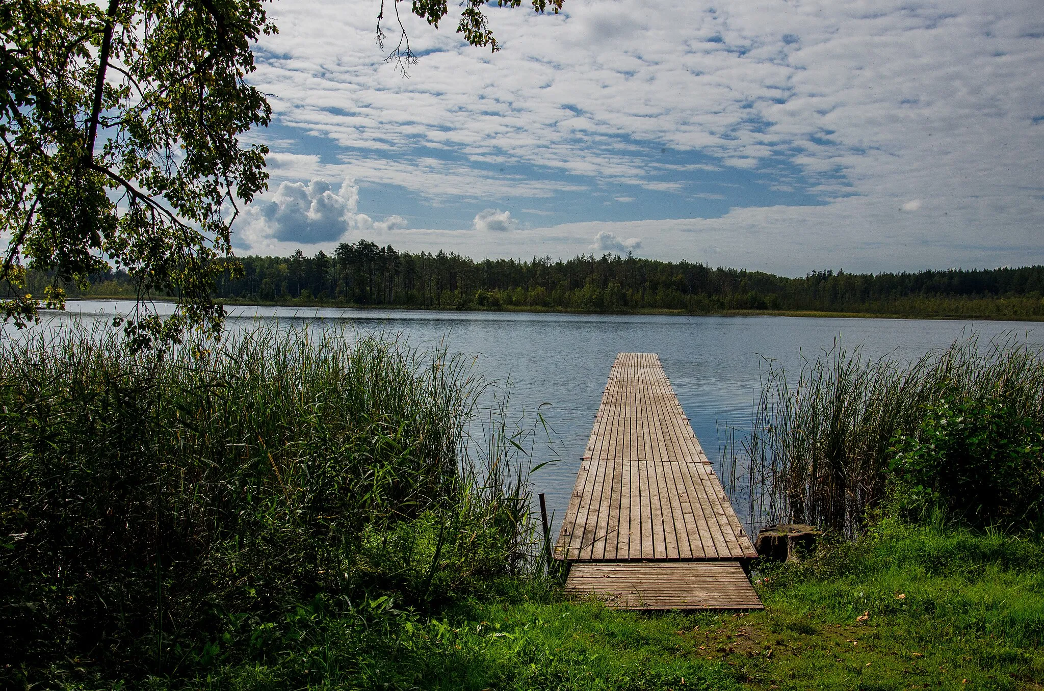 Photo showing: Медумское озеро с берега