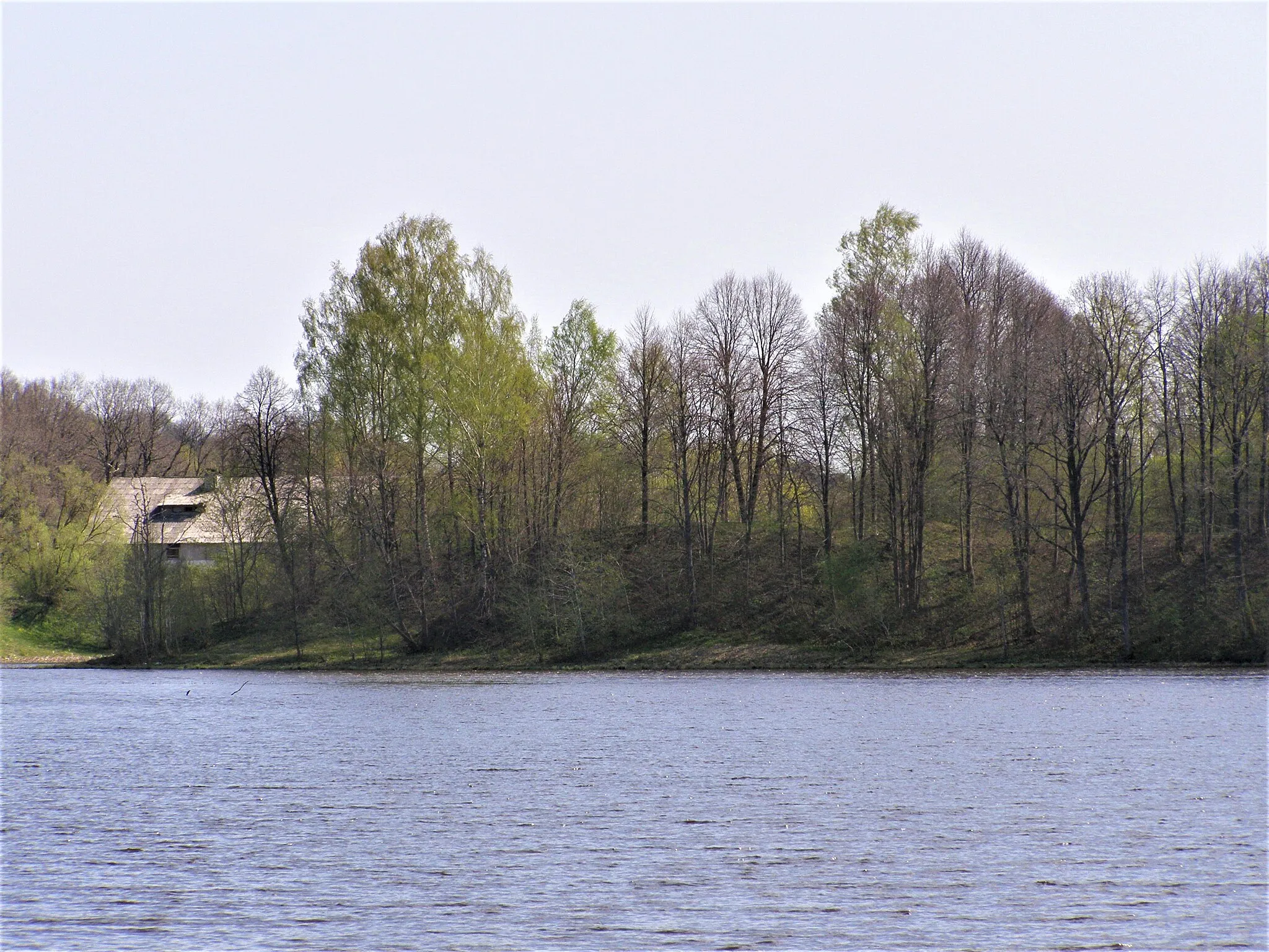 Photo showing: Kurmaičiai Hillfort, Kretinga district, Lithuania