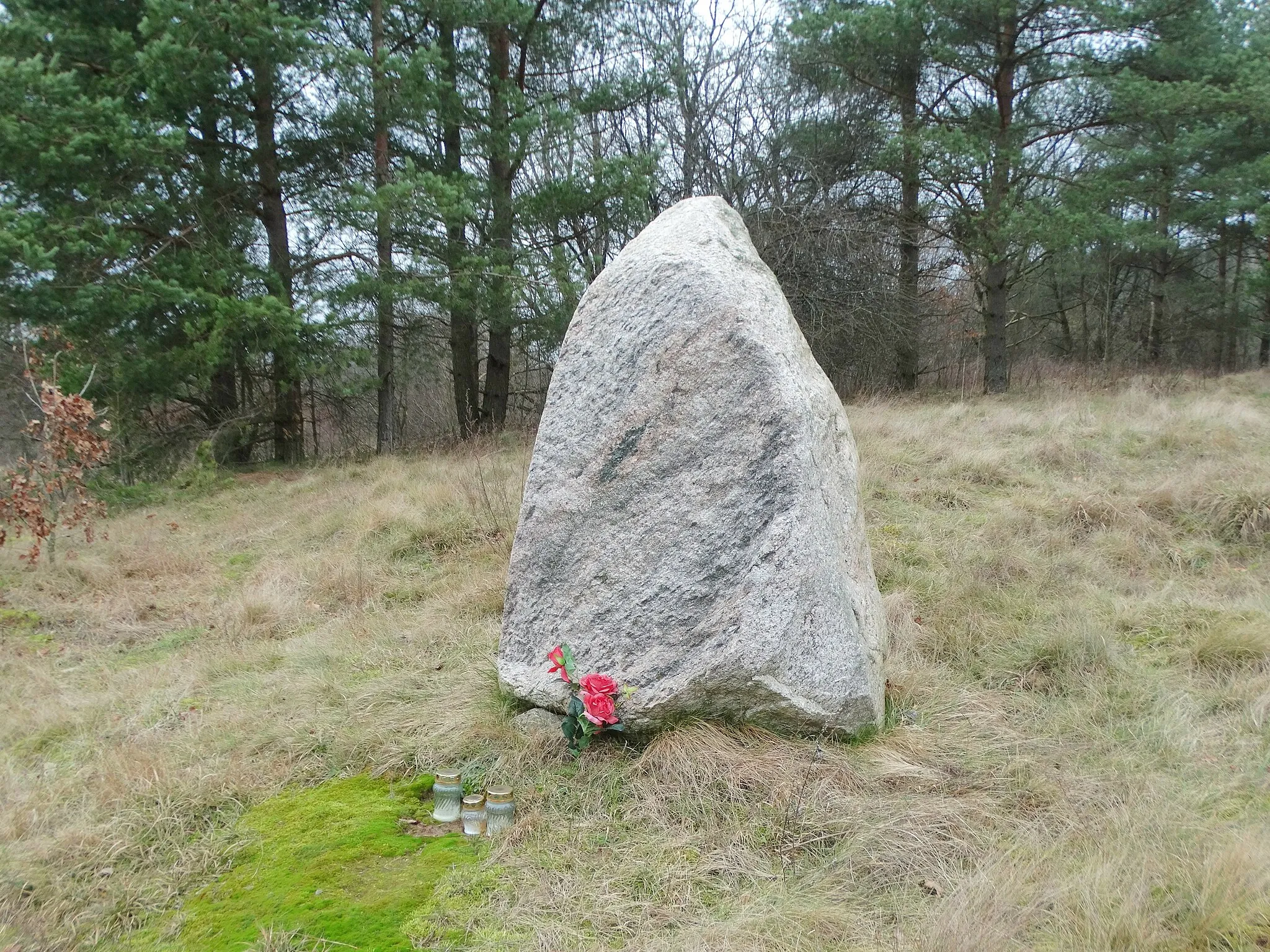 Photo showing: Baubliai, barrow cemetery, Kretinga District, Lithuania