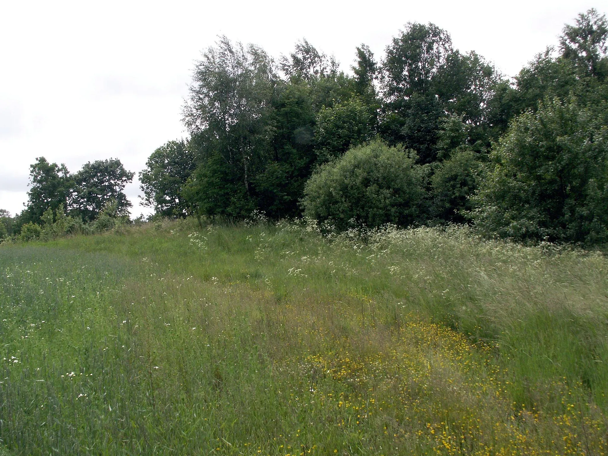 Photo showing: Hillfort Valėnai, Kretinga district, Lithuania