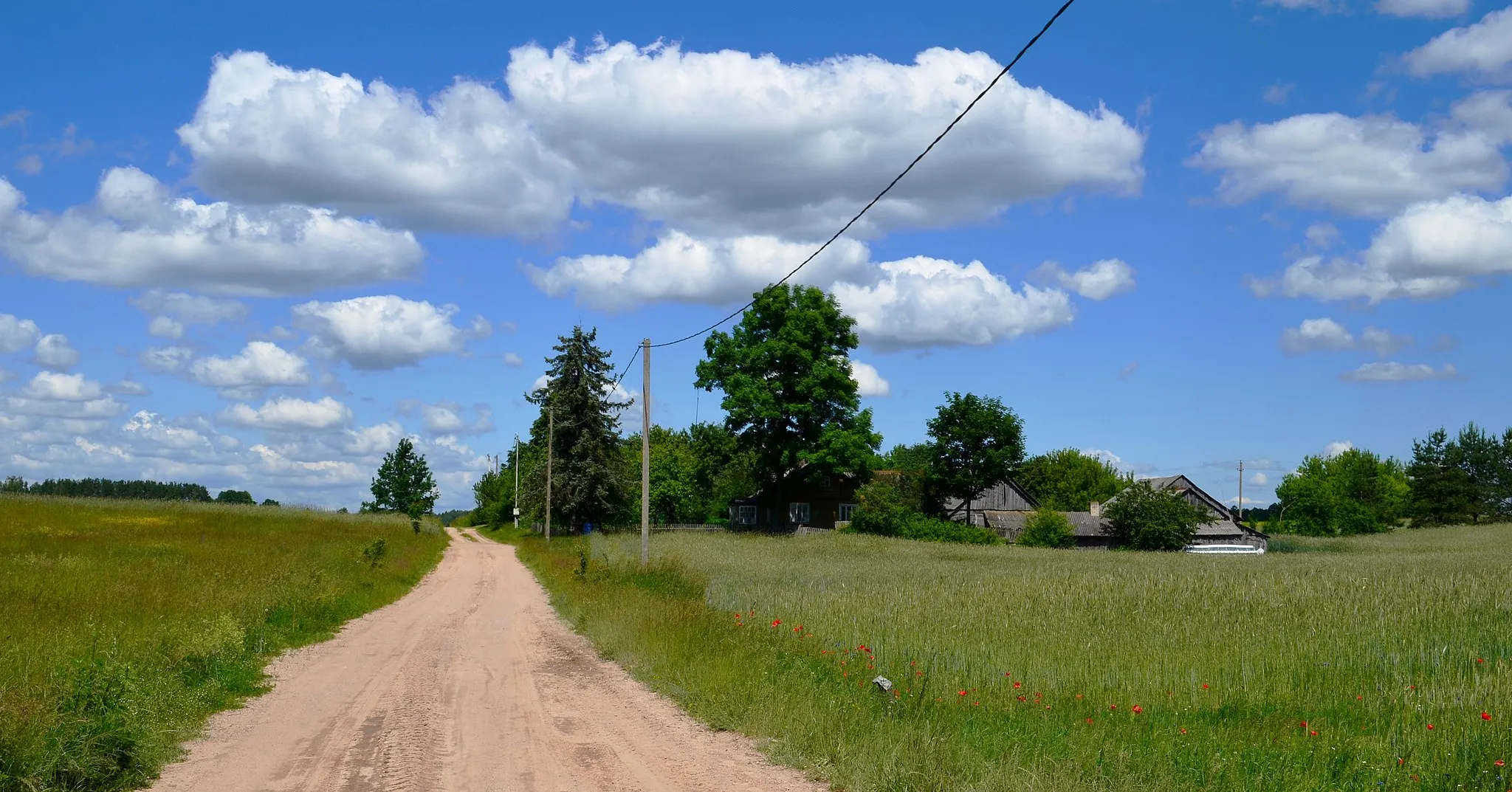 Photo showing: Gulbiniškės k., Lazdijų r.