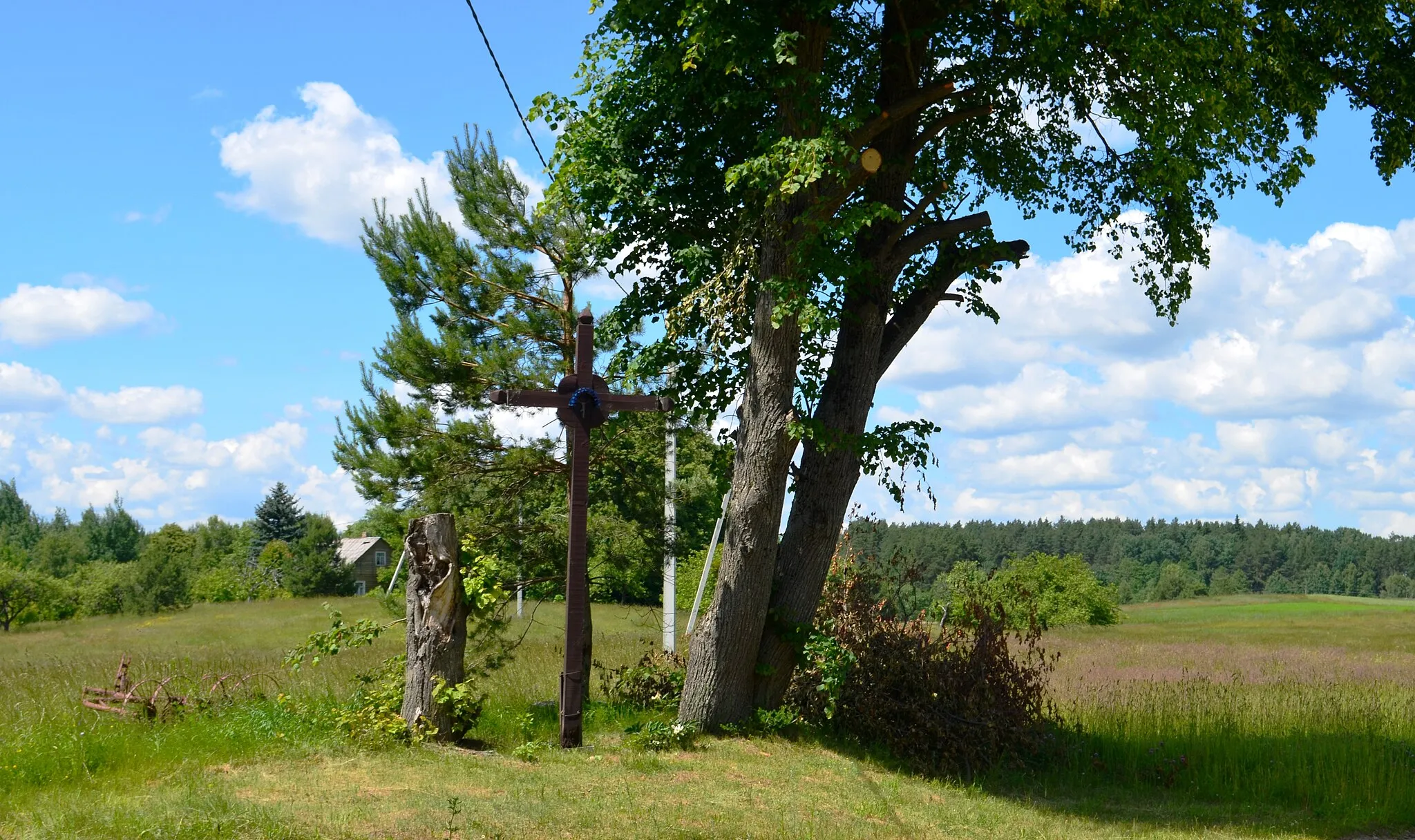 Photo showing: Kryžius, Gulbiniškės k., Lazdijų r.