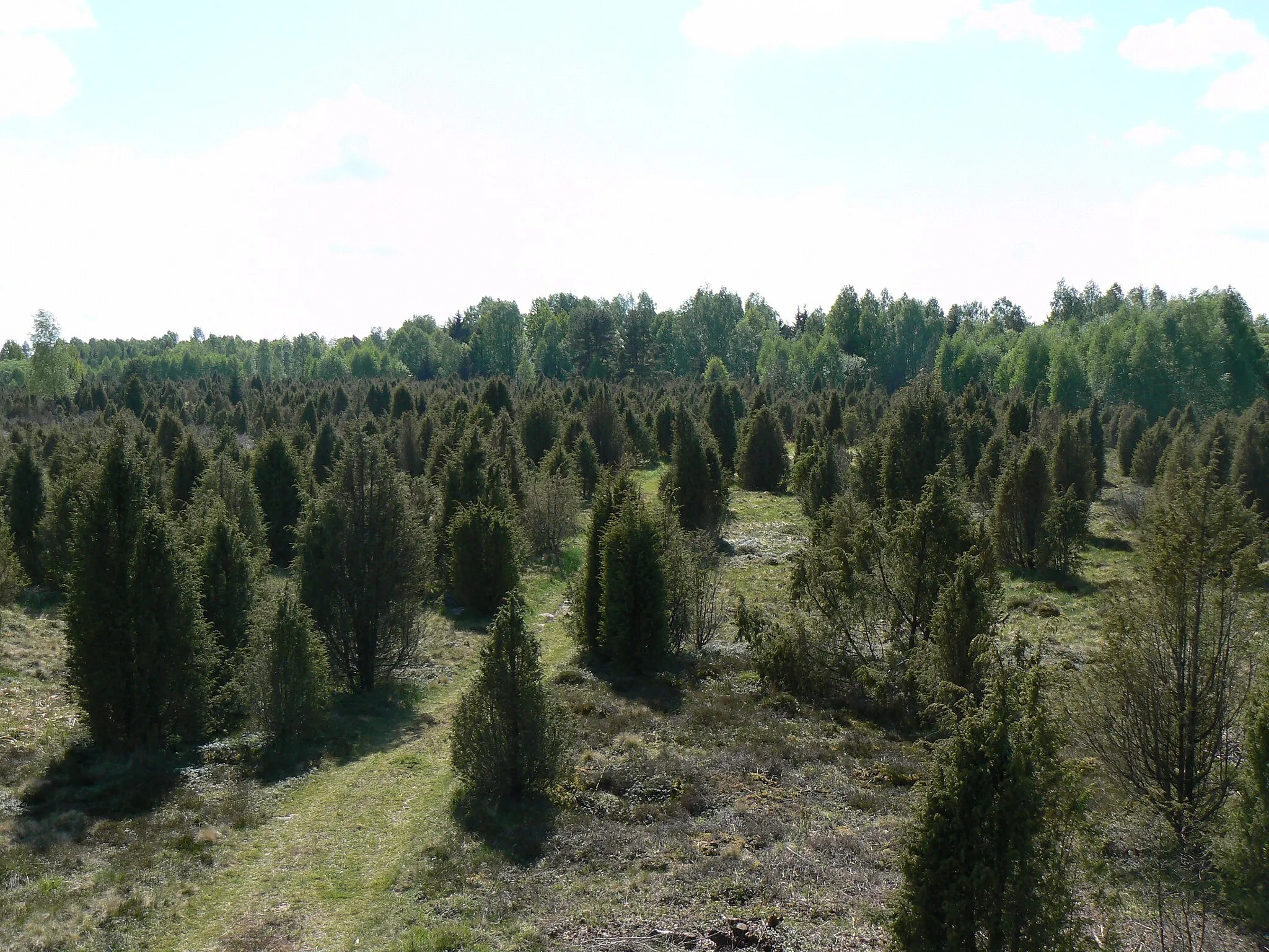 Photo showing: Šauklių geological park