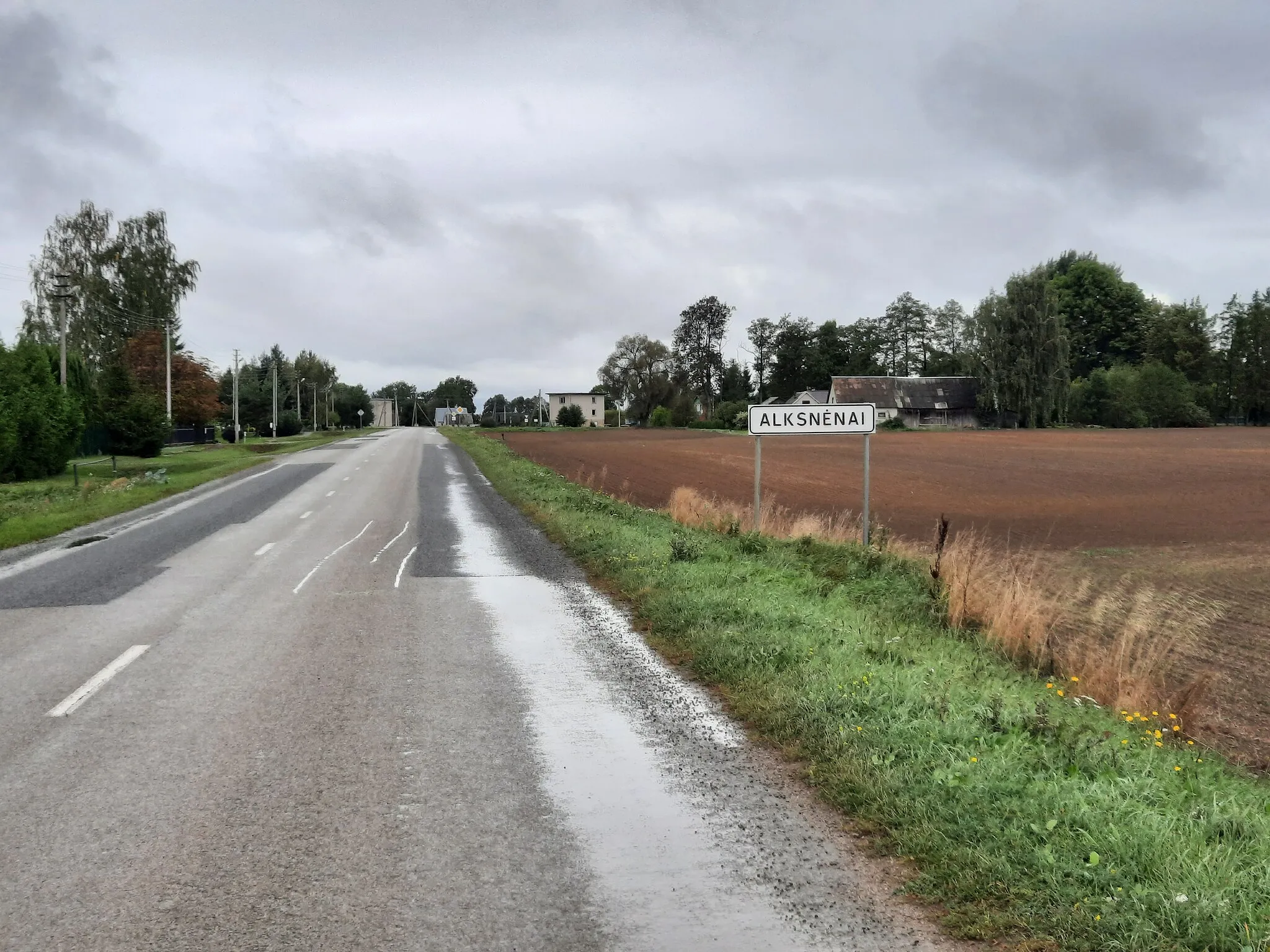 Photo showing: Alksnėnai, southern entry to village