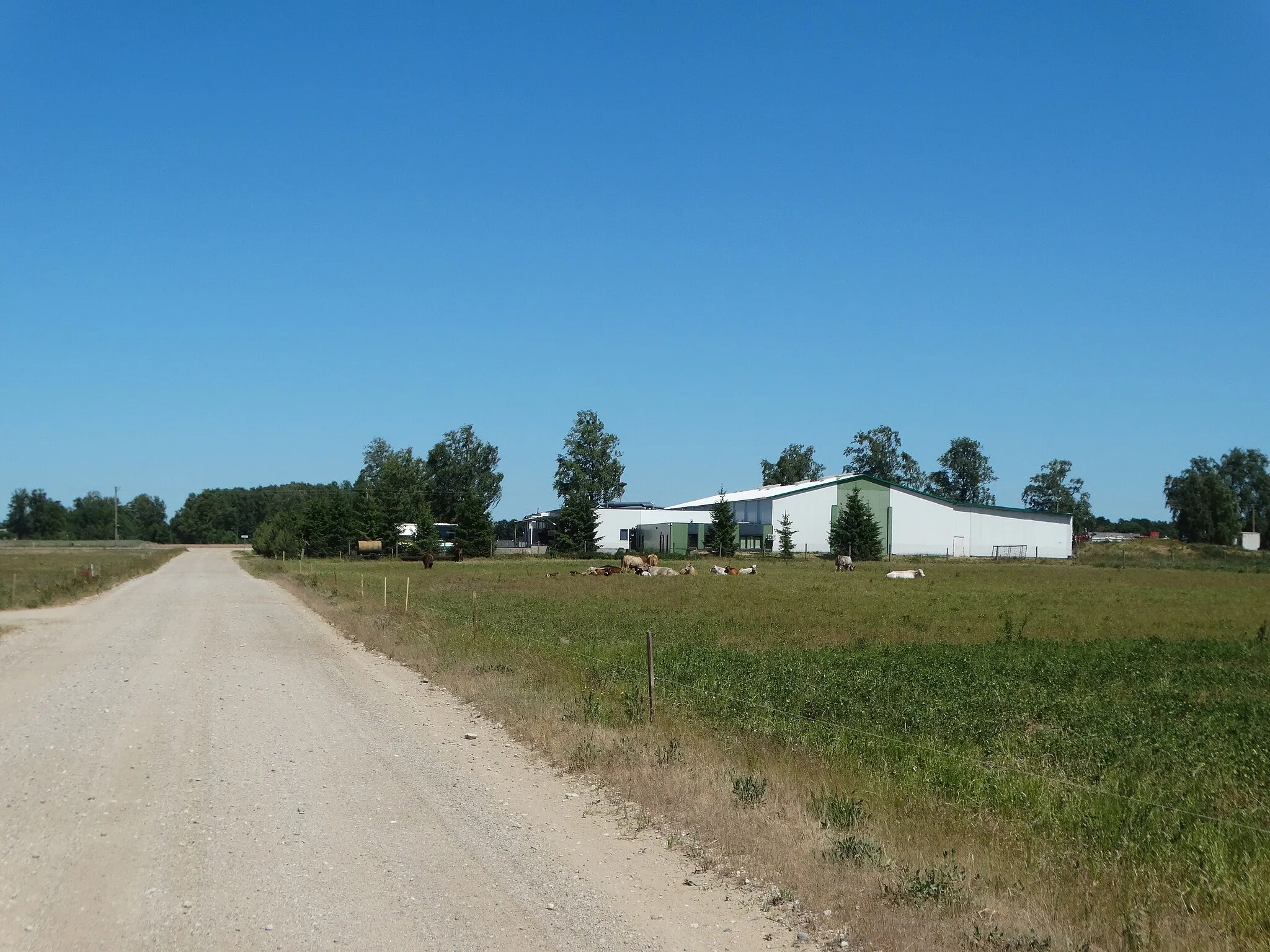 Photo showing: Sakūtėliai, Šilutė District, Lithuania