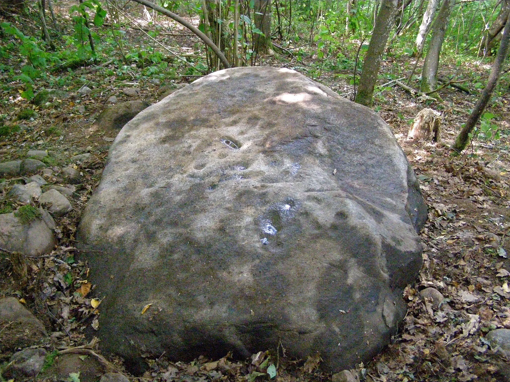 Photo showing: Kašučiai stone with 169 cup marks, Kretinga district, Lithuania