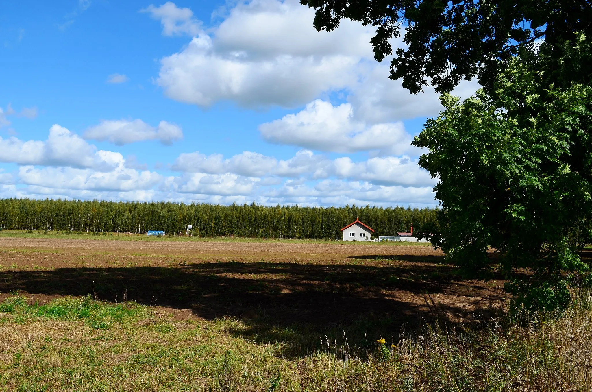 Photo showing: Kloguonā, Šėlotės rajuons