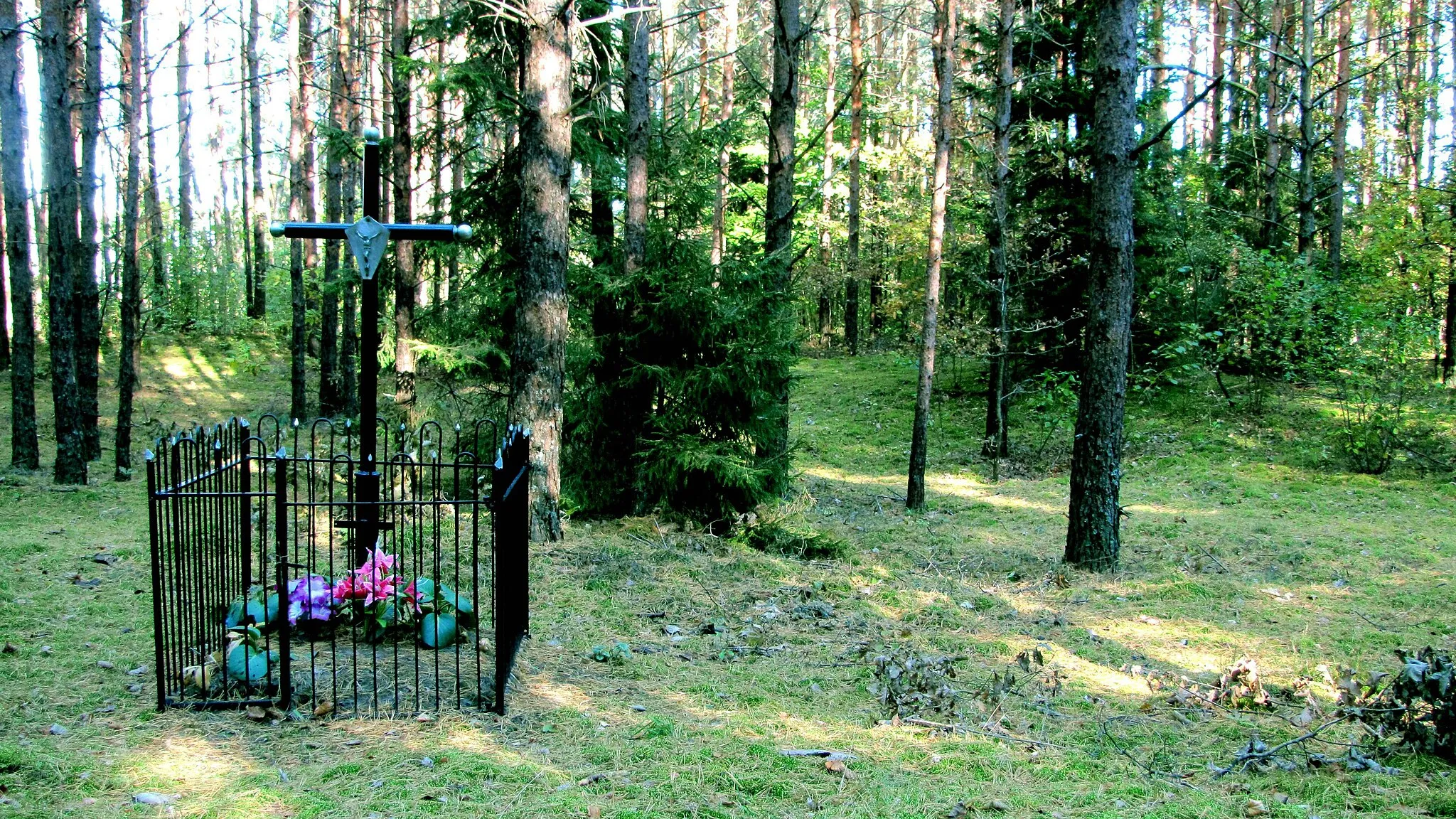 Photo showing: Lietuvos partizanų kapai Skersabalio miške, šalia Skersabalio kaimo, Naujosios Ūtos seniūnijoje. Sovietmečiu kapai būdavo puošiami slaptai. Nuotraukos autorius Vytautas Degutis.