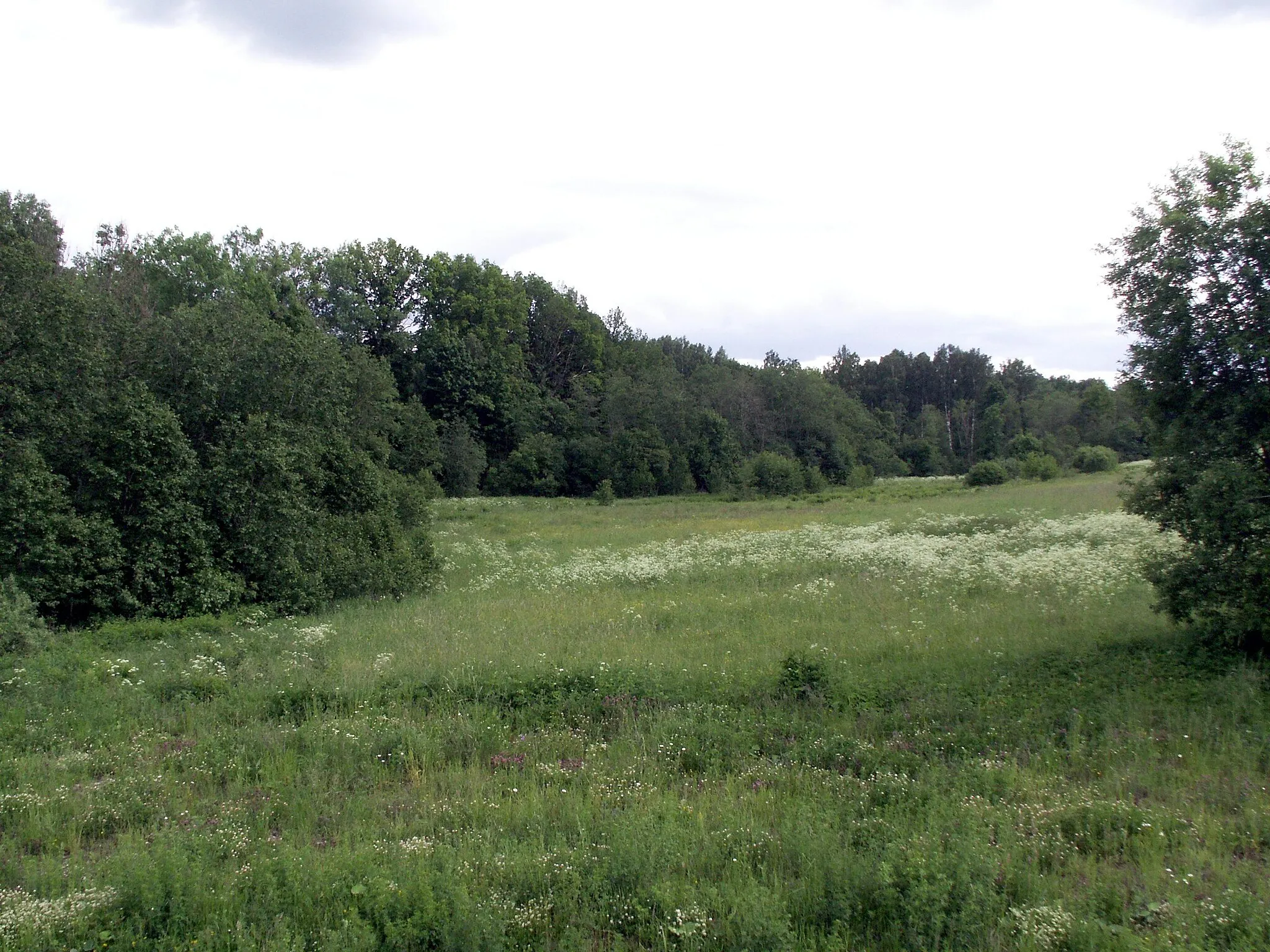 Photo showing: Hillfort Nugariai, Plungė district, Lithuania