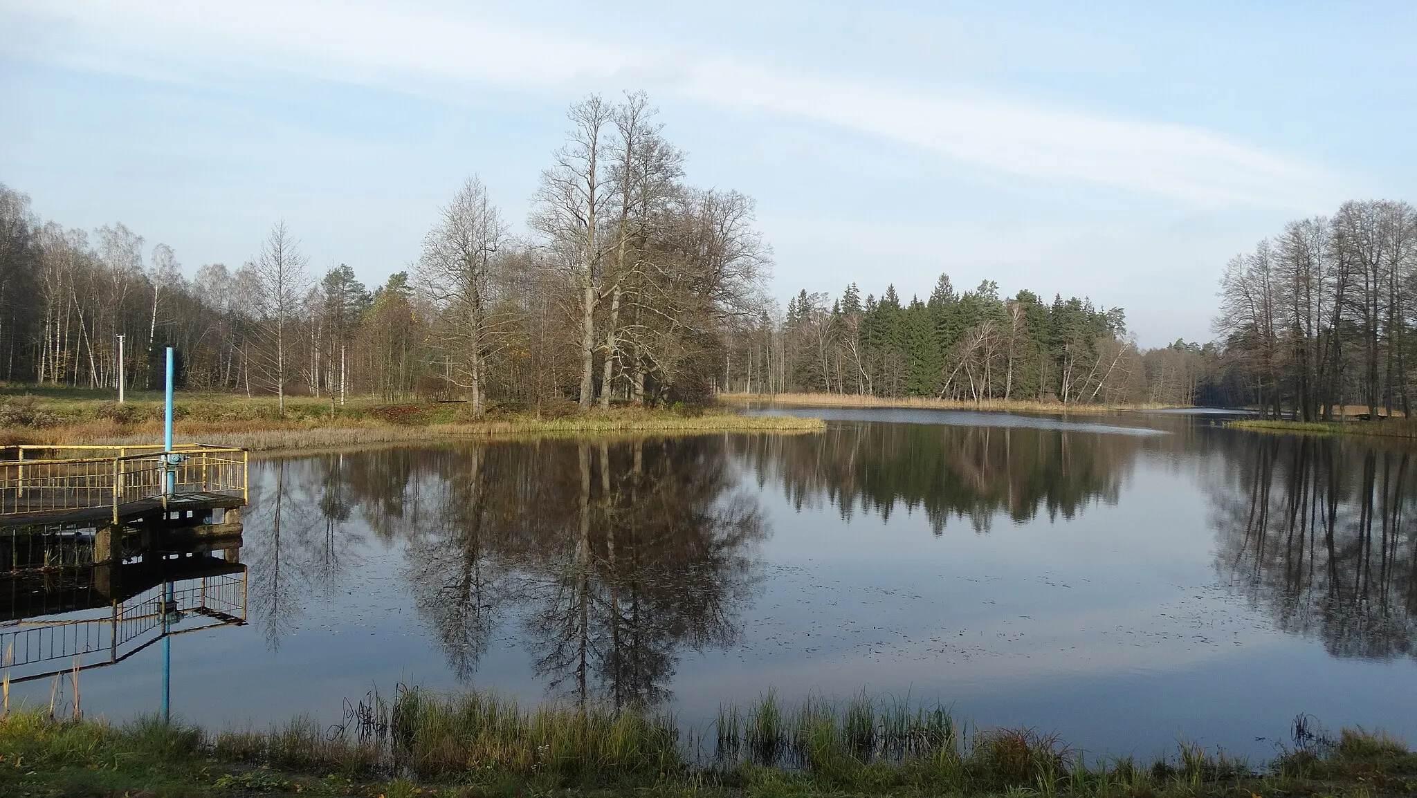 Photo showing: Pond, Pašventys, Jurbarkas District, Lithuania