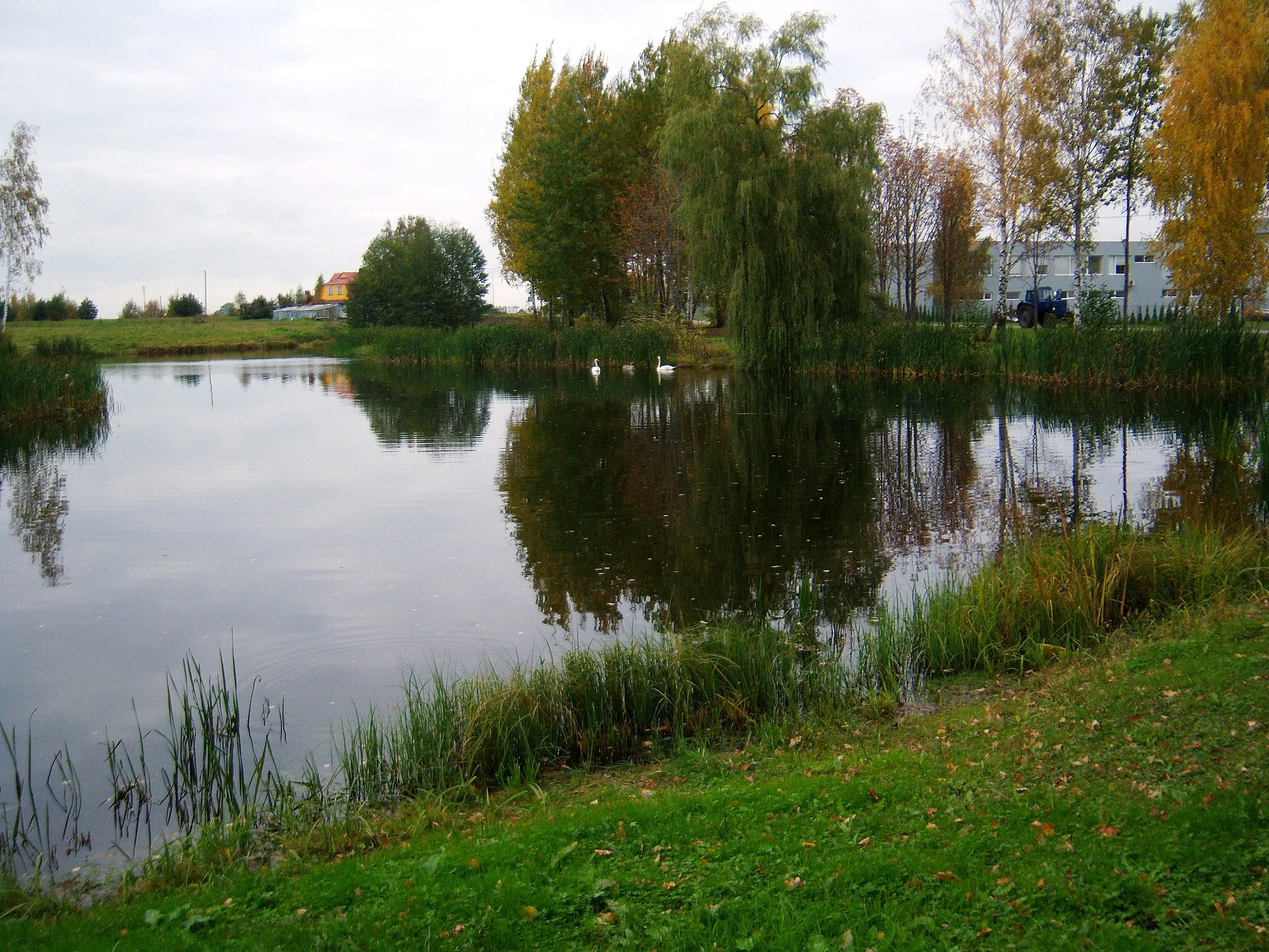 Photo showing: Tabariškiai pond, Kaunas District, Lithuania