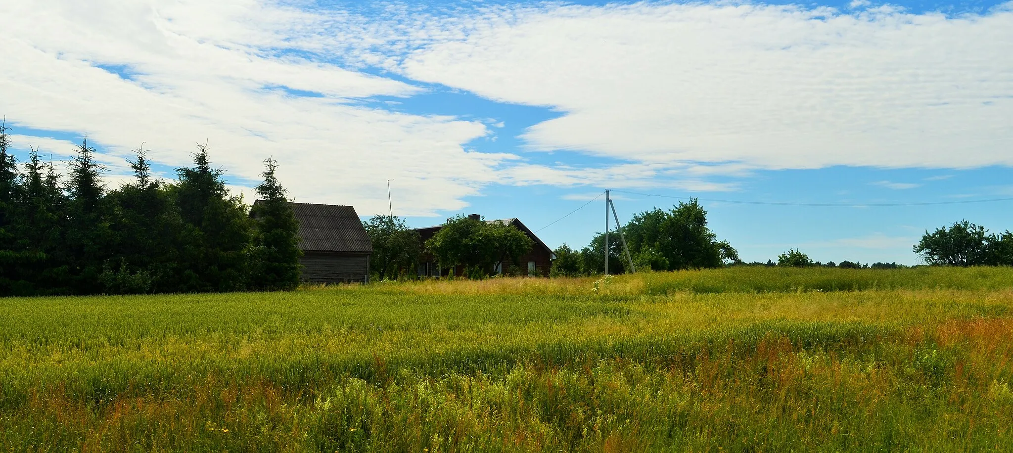 Photo showing: Šilainėliai, Kėdainių raj.