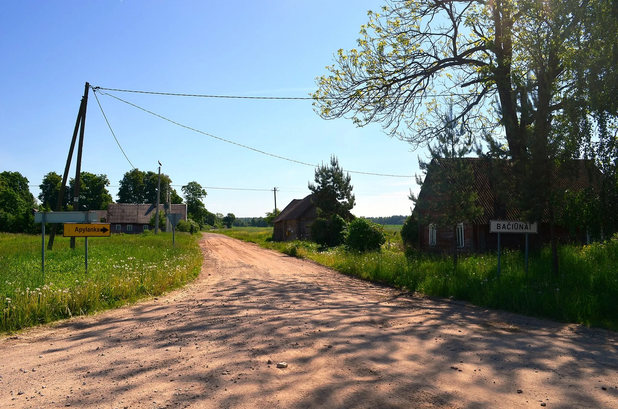 Photo showing: Bačiūnai, Pakruojo raj.