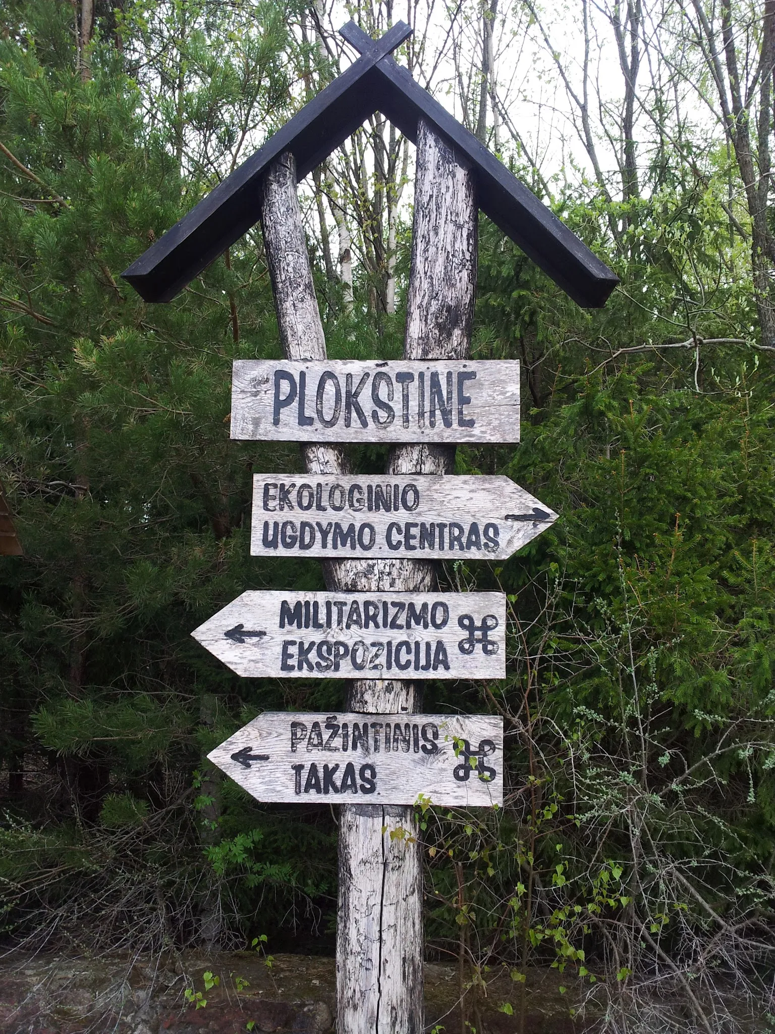 Photo showing: Plokštinė