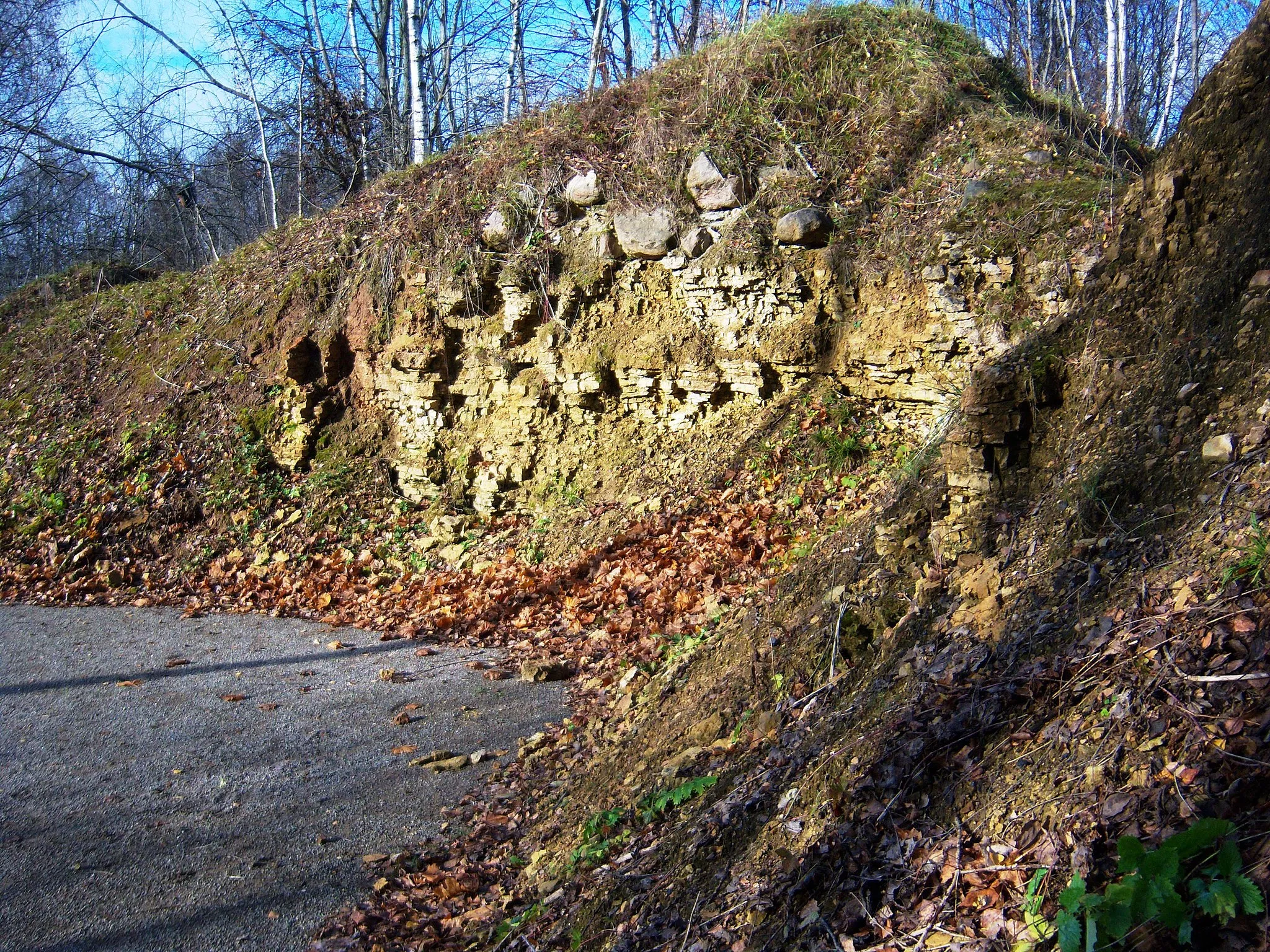 Photo showing: Exposure by Lėvuo River in Stirniškiai, Kupiškis District, Lithuania