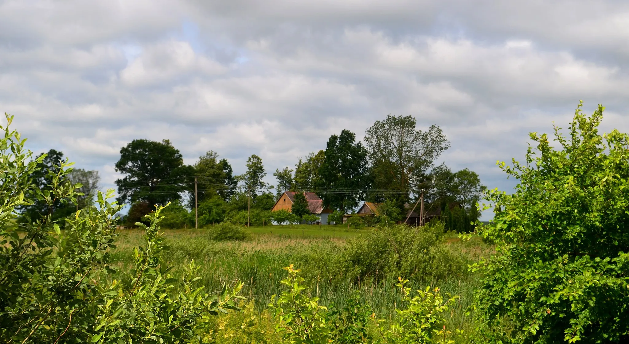 Photo showing: Paželsviai, Marijampolės sav.