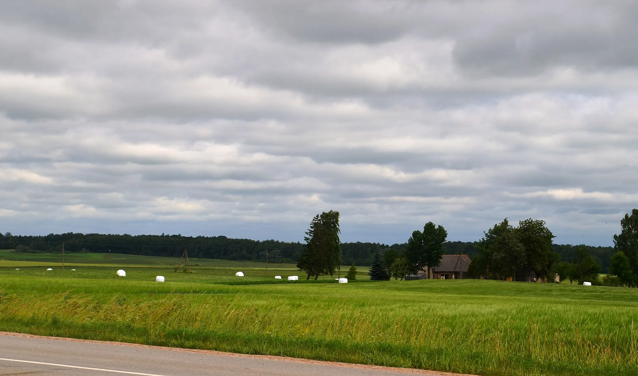 Photo showing: Paželsviai, Marijampolės sav.