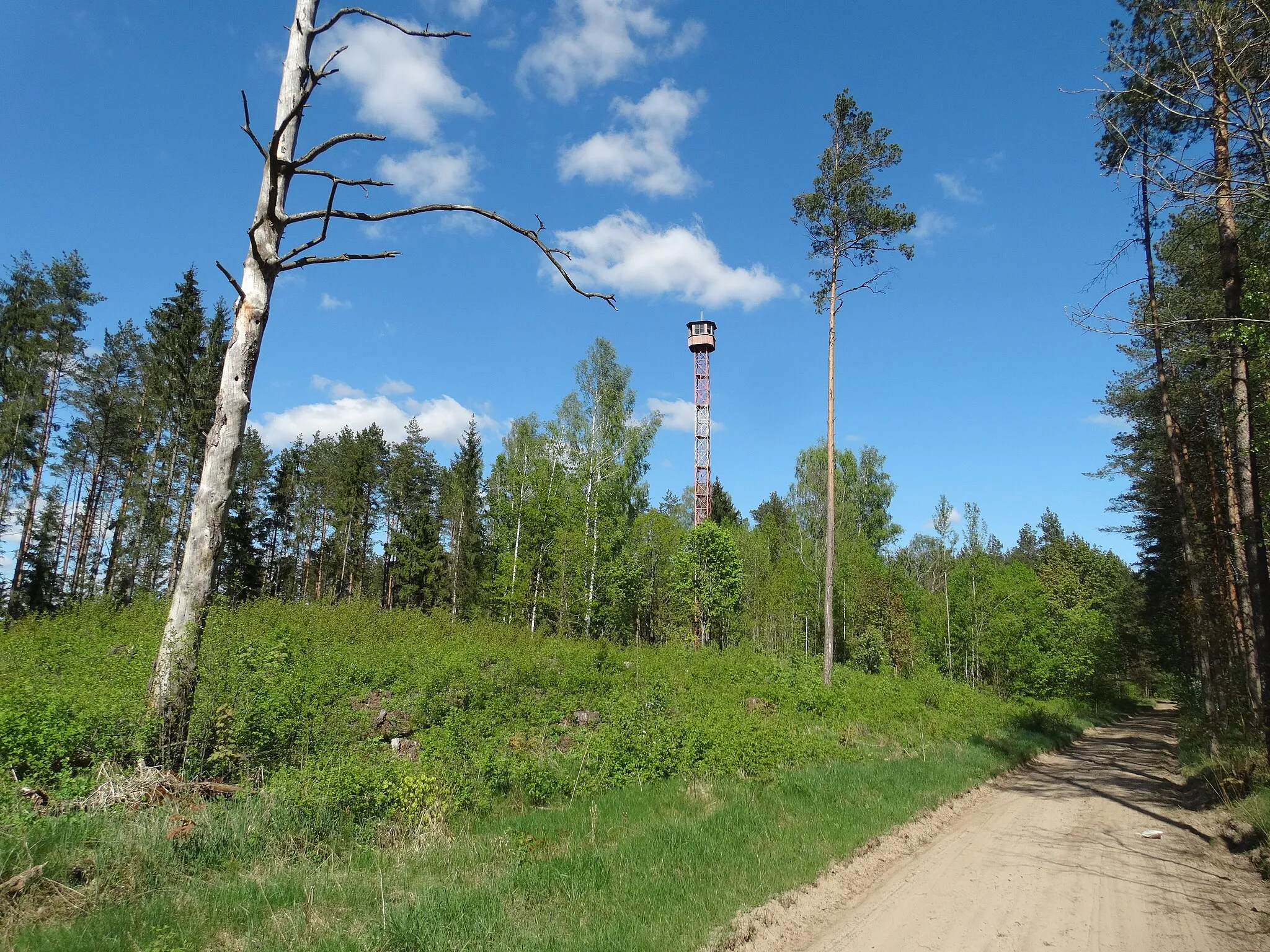 Photo showing: Observation tower, Agurkiškė, Kazlų Rūda municipality, Lithuania