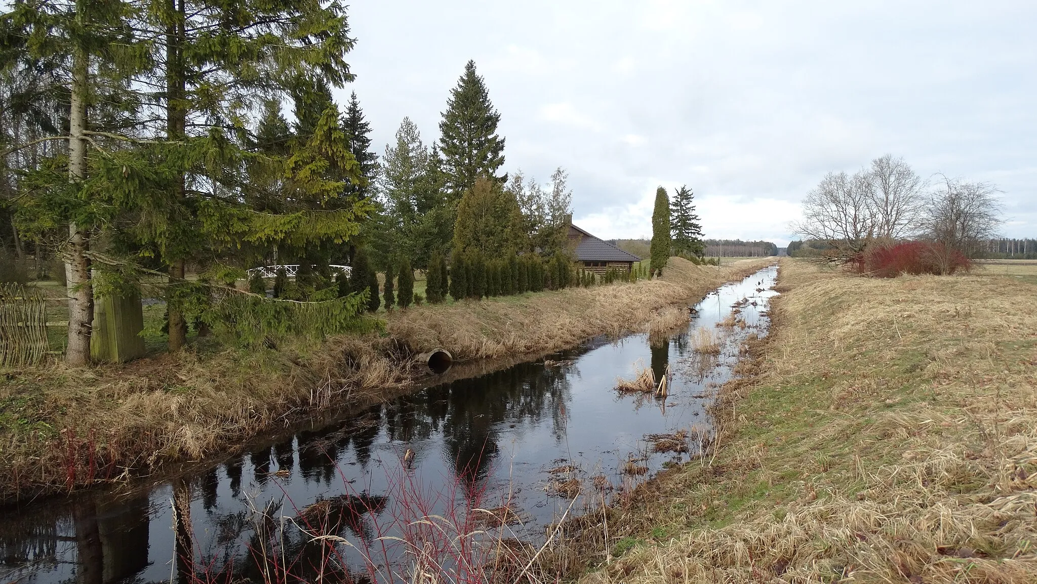 Photo showing: Judrė River in Agurkiškė, Kazlų Rūda municipality, Lithuania